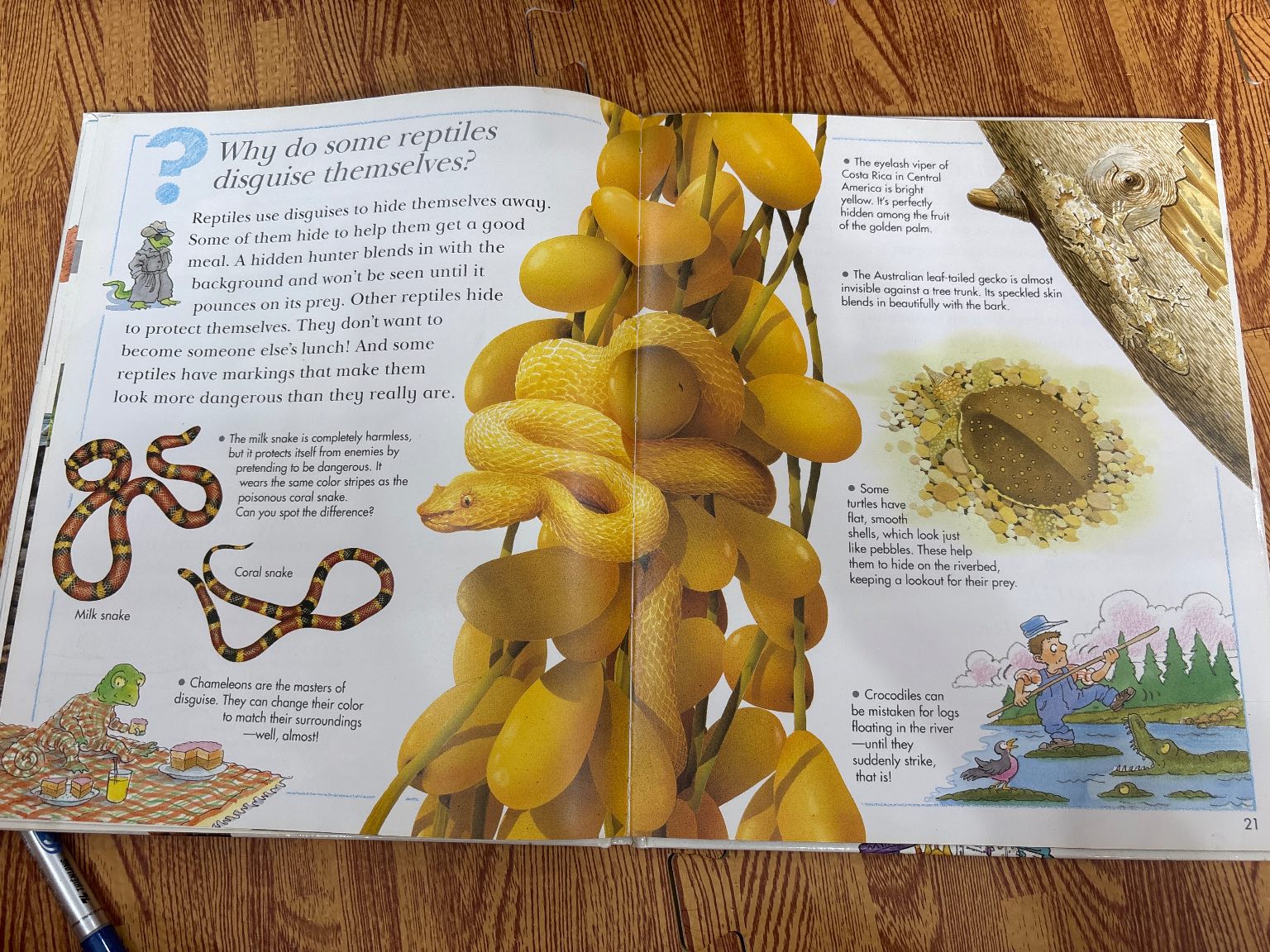 I Wonder Why Snakes Shed Their Skins and Other Questions About Reptiles — ảnh 3