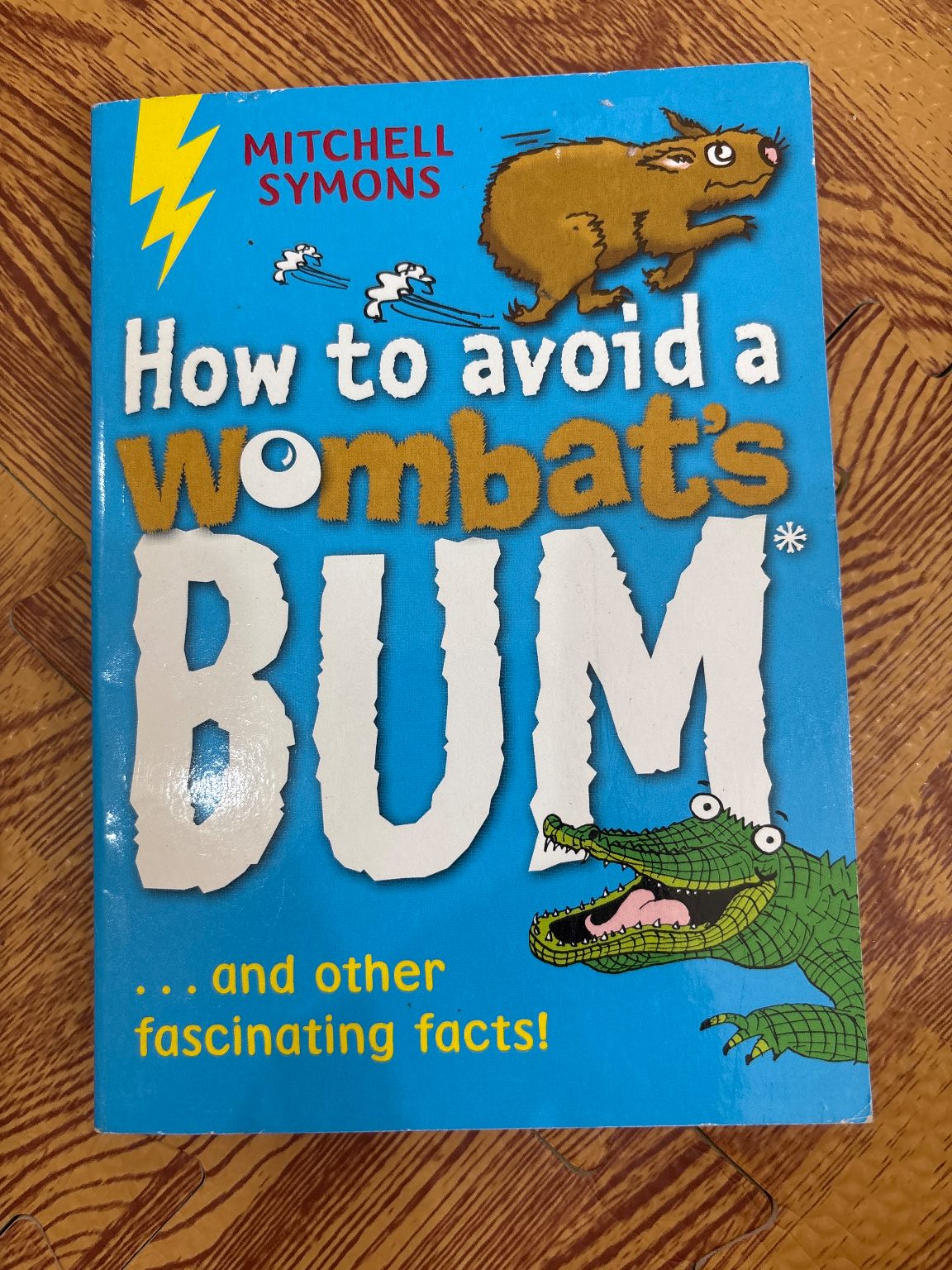 How to Avoid a Wombat's Bum — ảnh 1