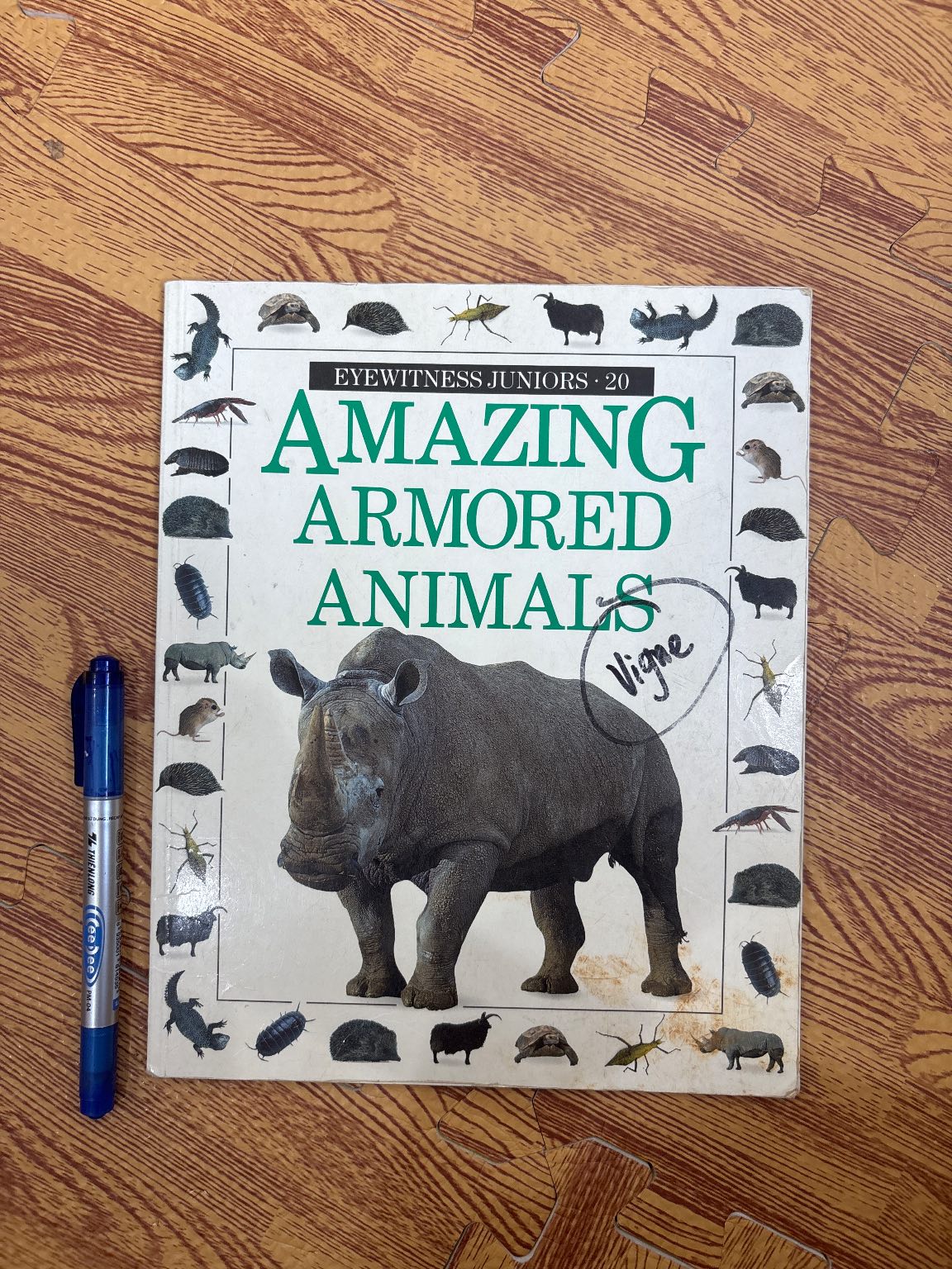 Amazing Armored Animals