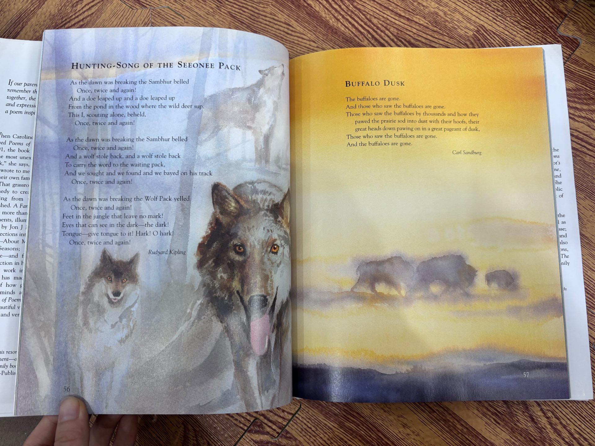A Family of Poems — ảnh 6