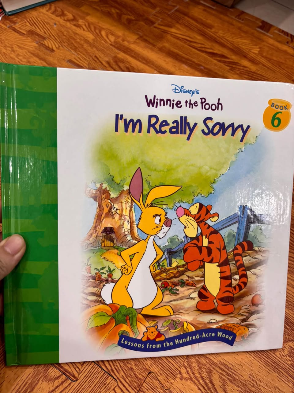 DISNEY'S WINNIE THE POOH: LESSONS FROM THE HUNDRED ACRE WOOD (SET TRUYỆN TRANH KỸ NĂNG) — ảnh 3