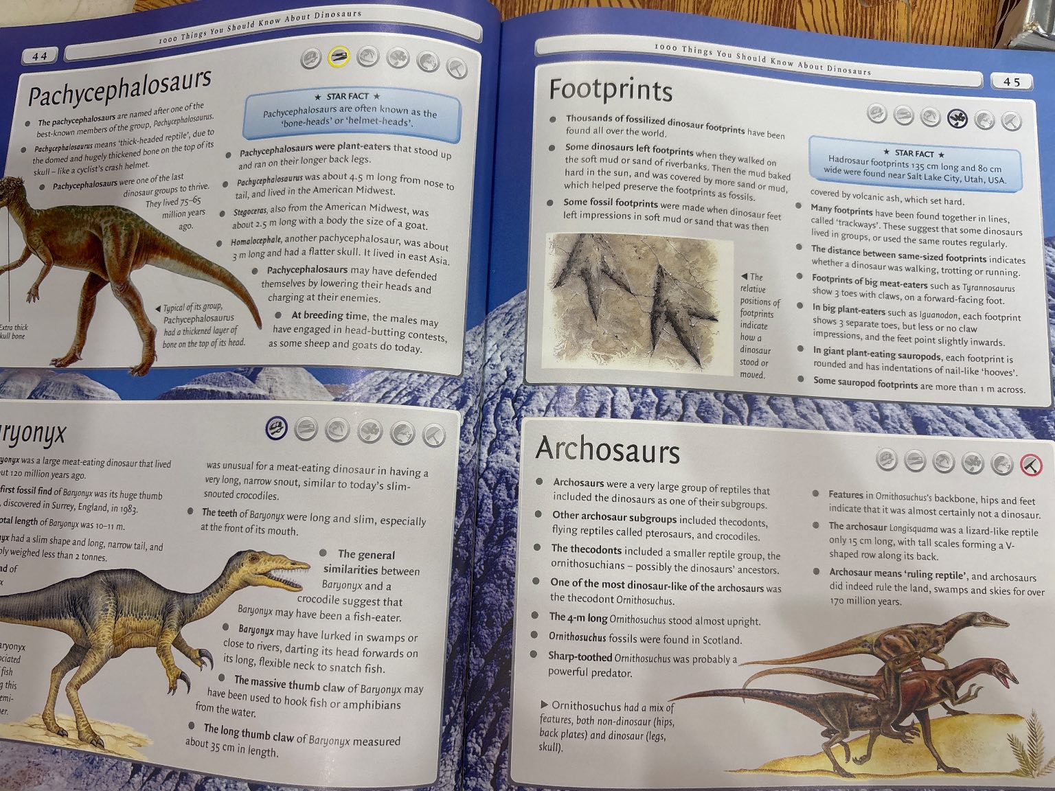 4000 things you should know about Animals — ảnh 3