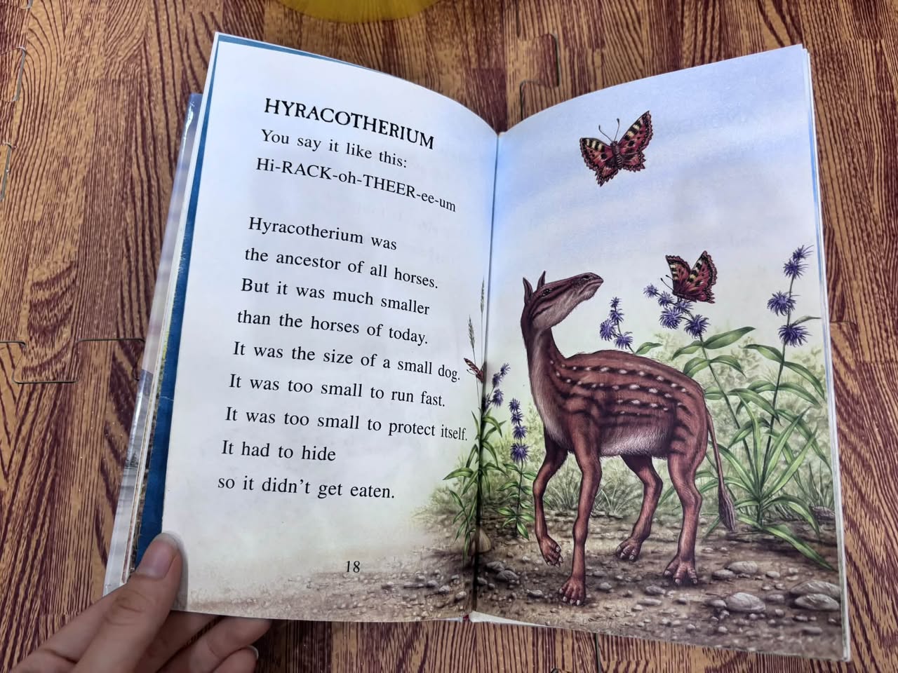 After the Dinosaurs: Mammoths and Fossil Mammals – Charlotte Lewis Brown — ảnh 5