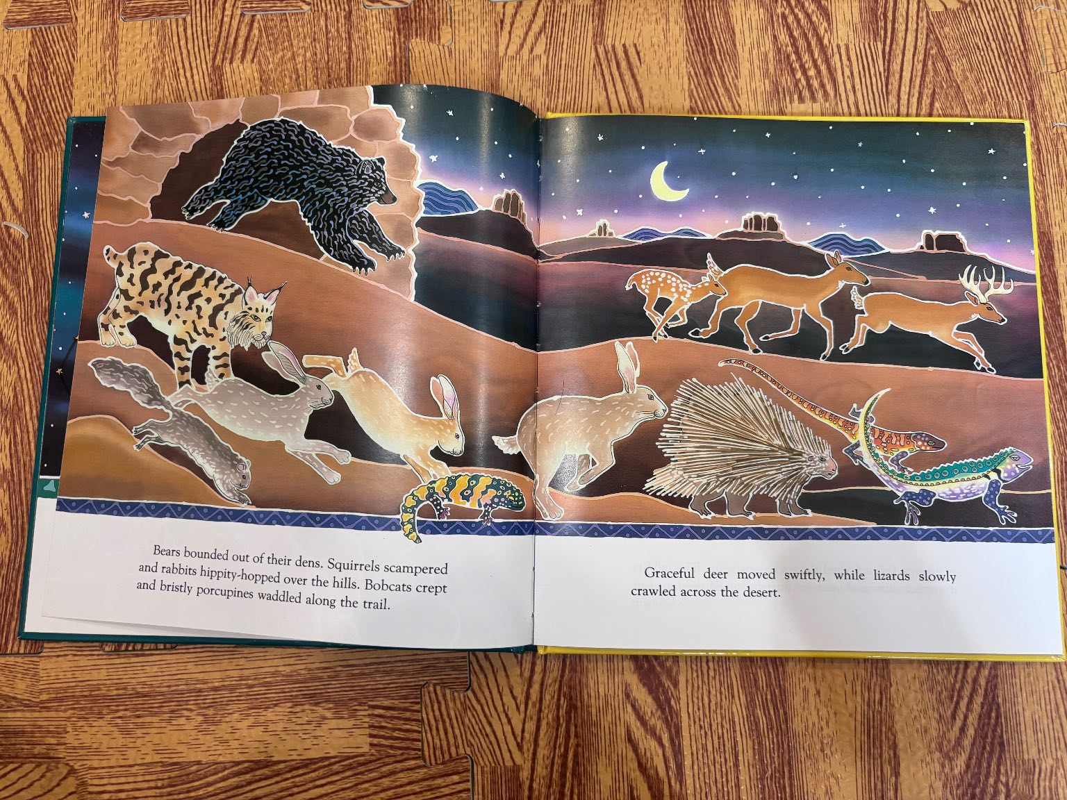 Coyote Places the Stars — ảnh 4