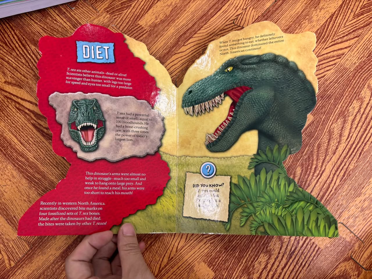 ROAR! TYRANNOSAURUS REX (SHAPED BOARD BOOK) — ảnh 4