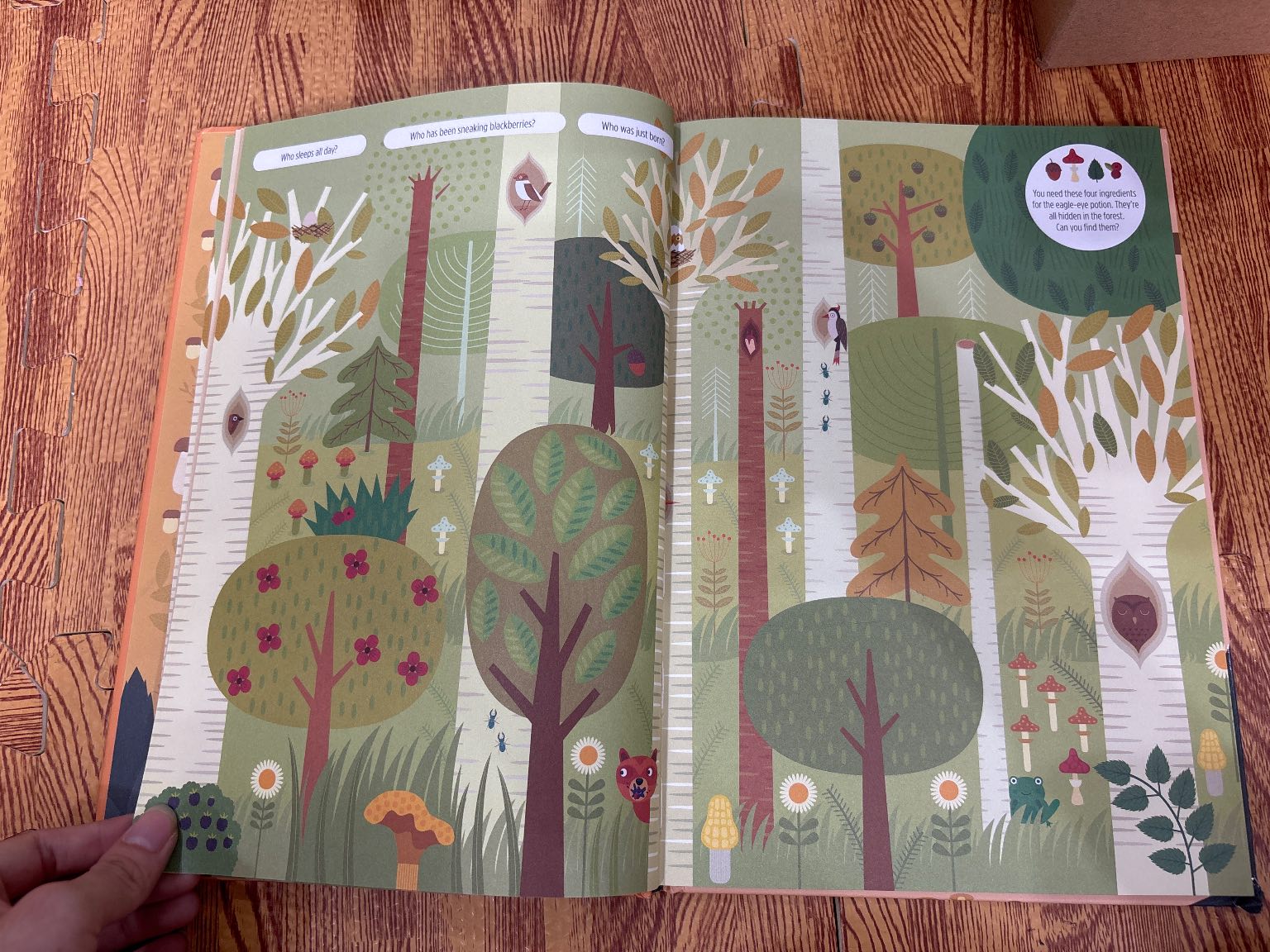 Find Me! Adventures in the Forest — ảnh 3