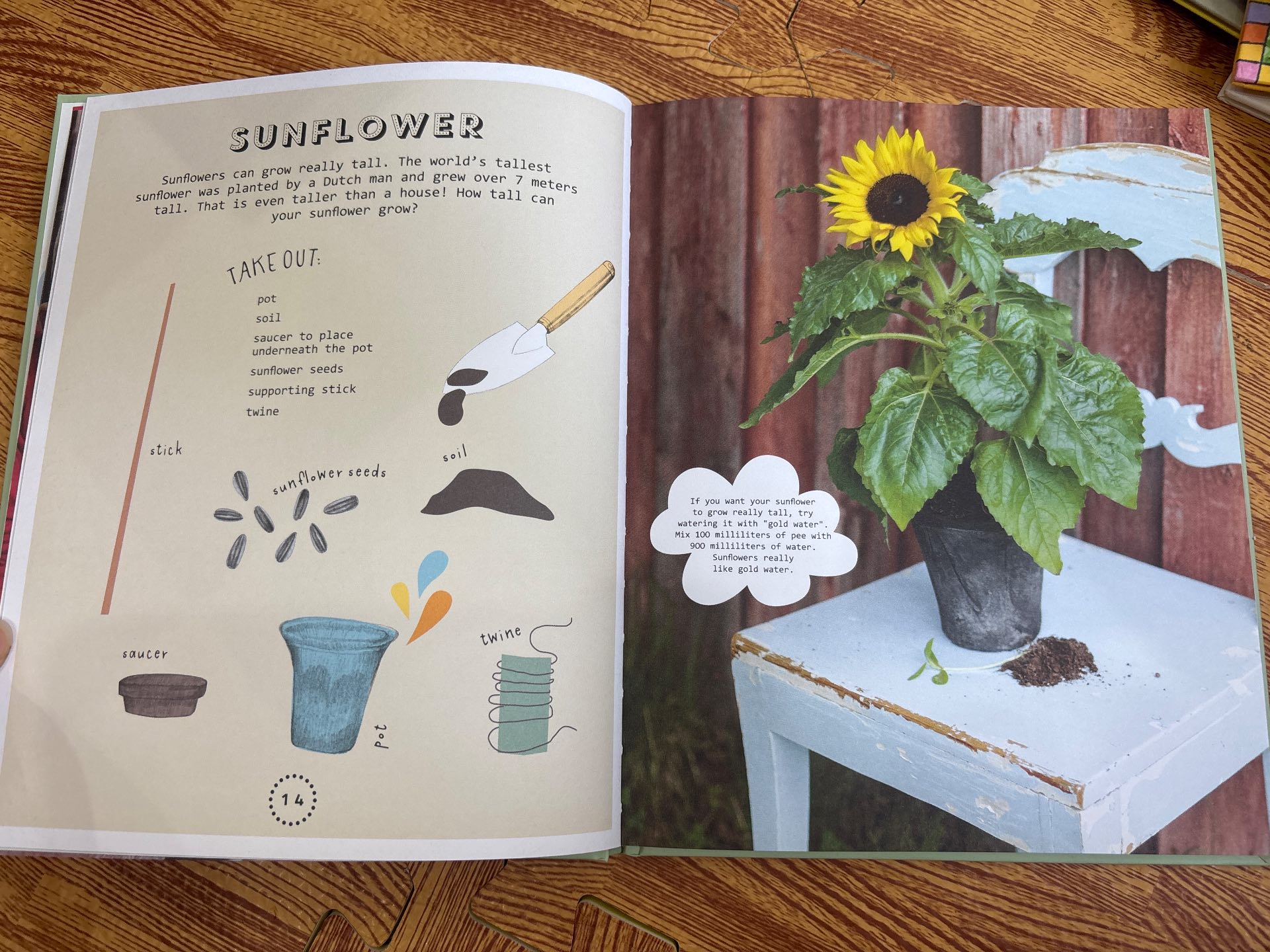 Let's Garden: A Step by Step Introduction — ảnh 3