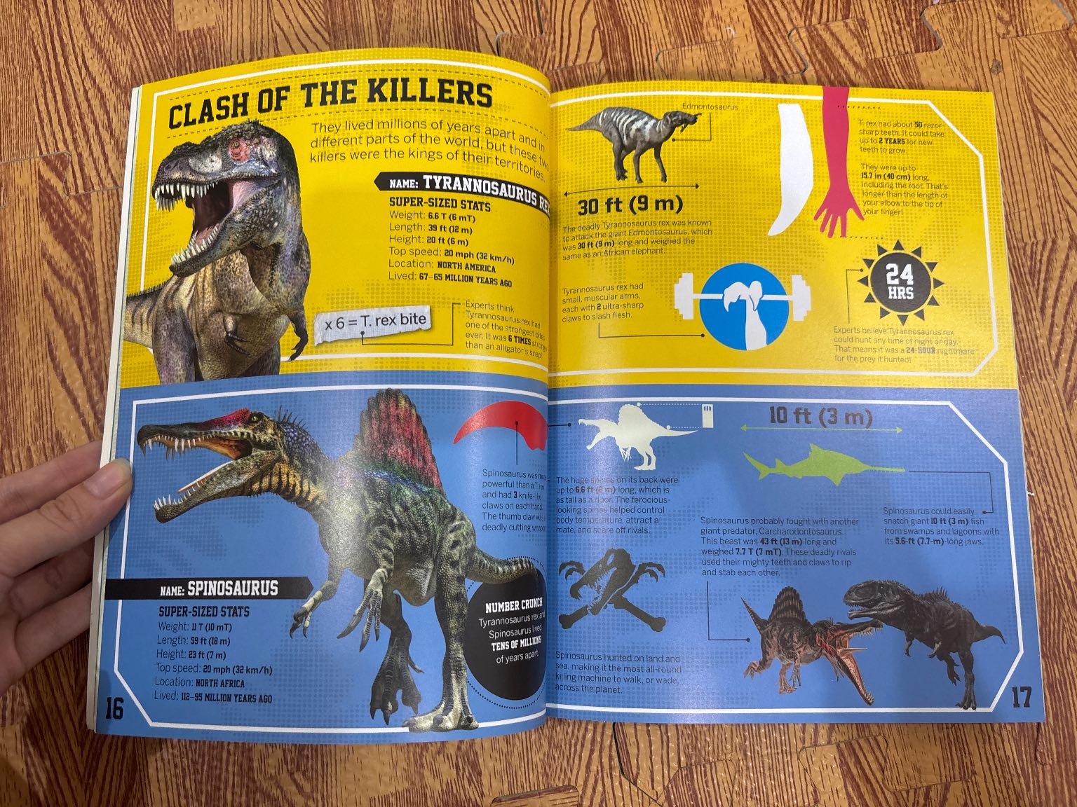 DINOSAUR NUMBER CRUNCH — ảnh 3