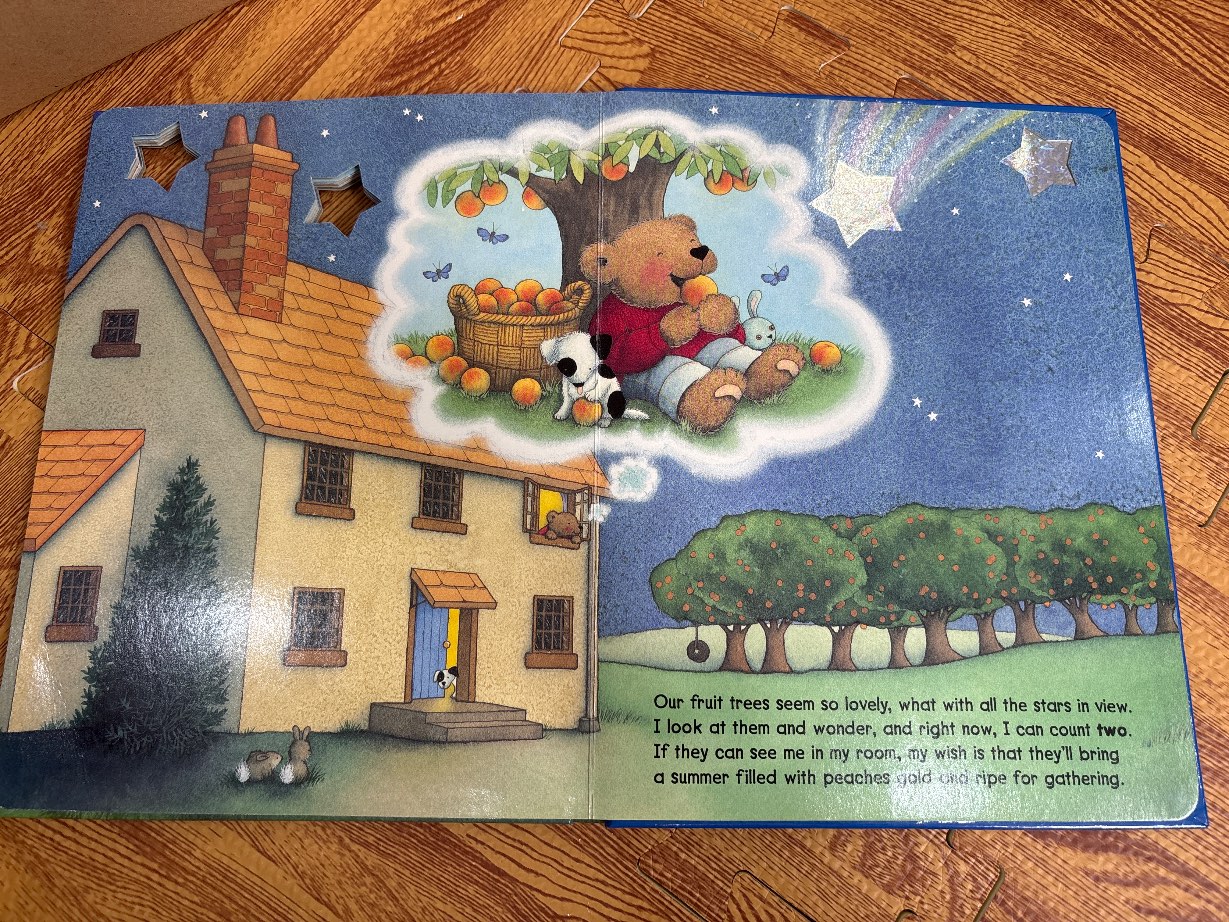 Wish Upon a Star — ảnh 6