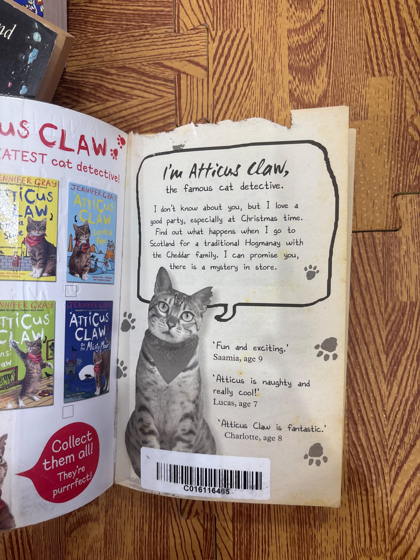 Atticus Claw On the Misty Moor — ảnh 4