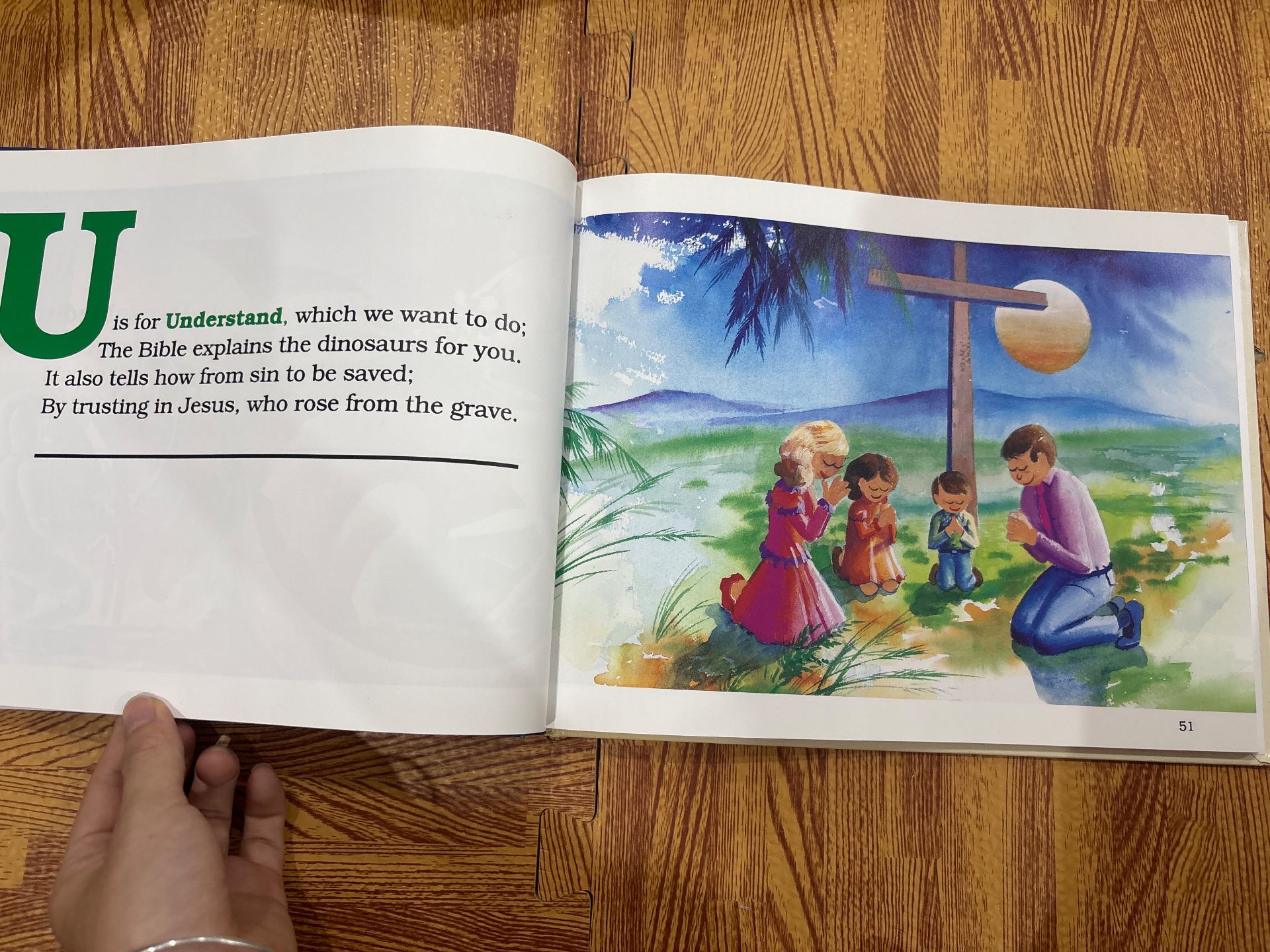 D Is For Dinosaur — ảnh 4