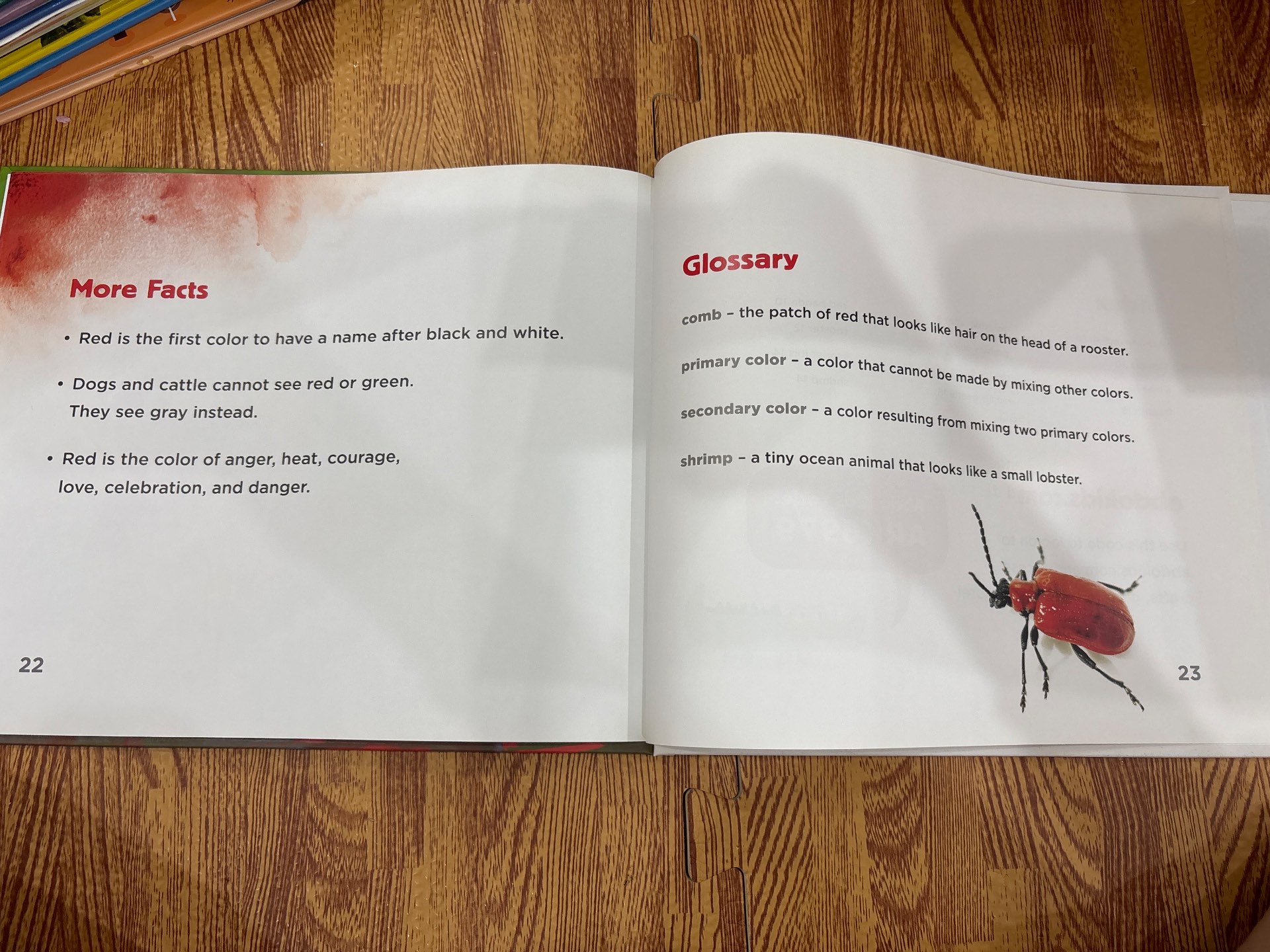 Red Animals — ảnh 6