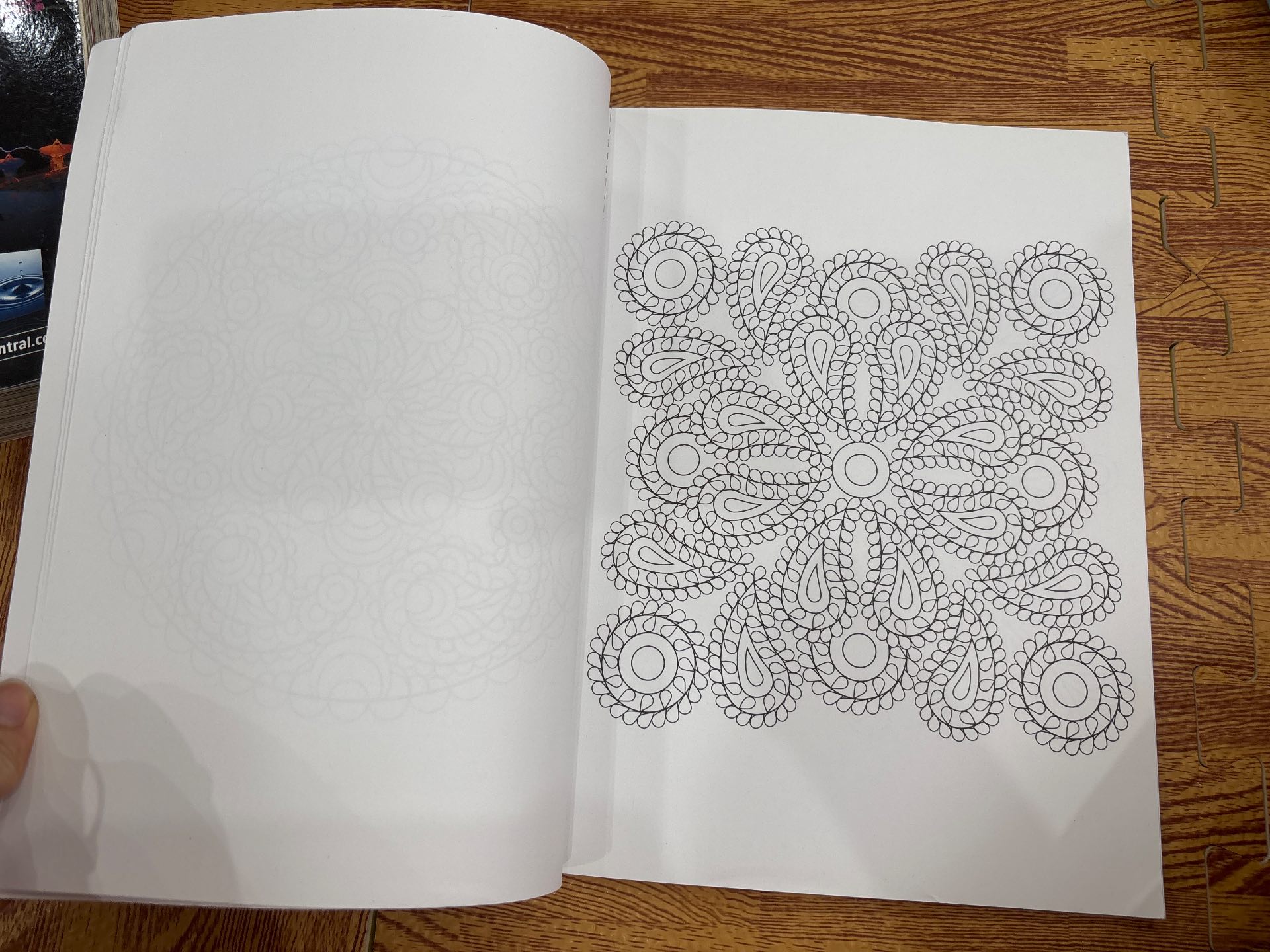 Paisley Mandalas — ảnh 4