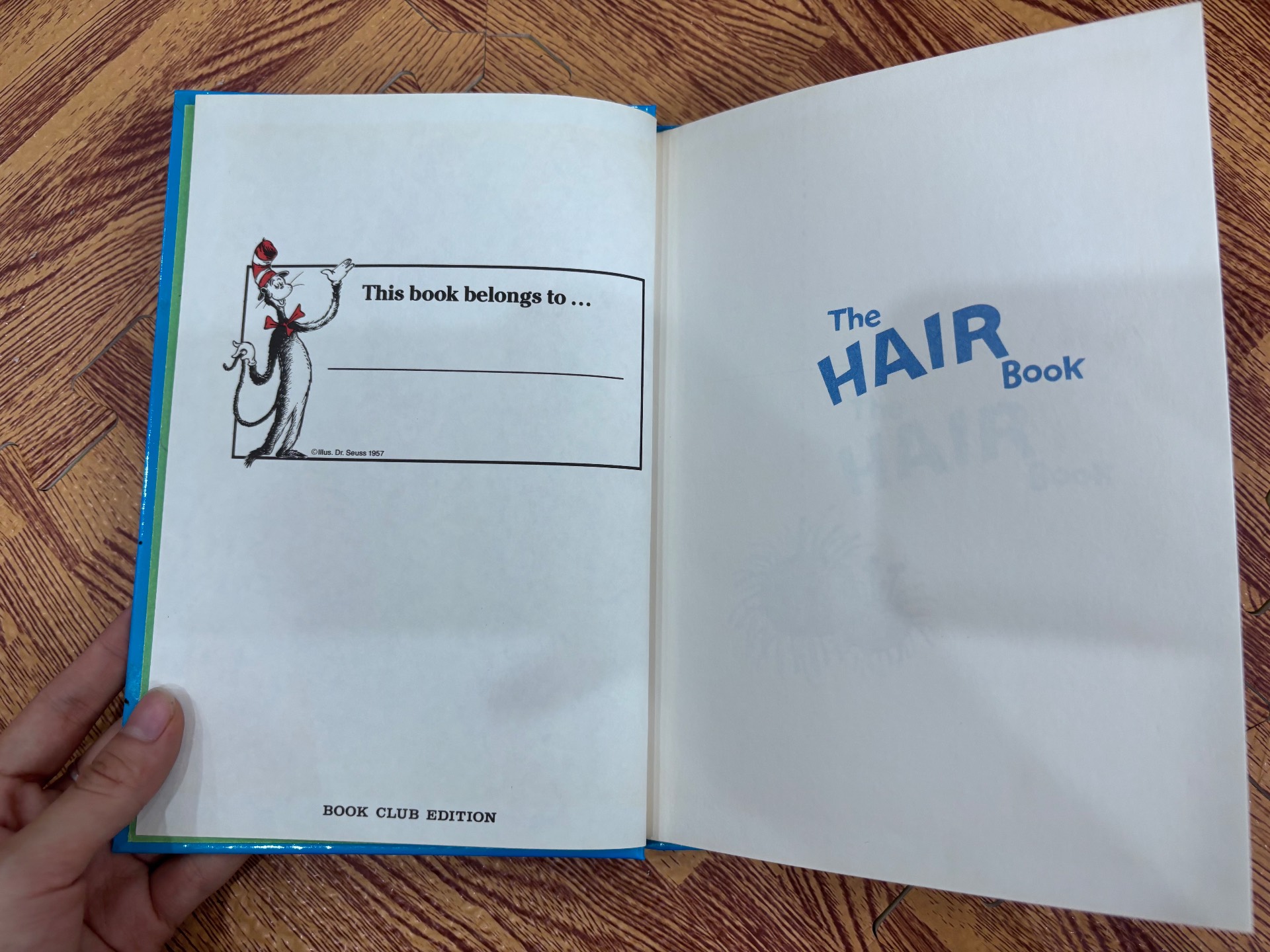 The HAIR Book — ảnh 2