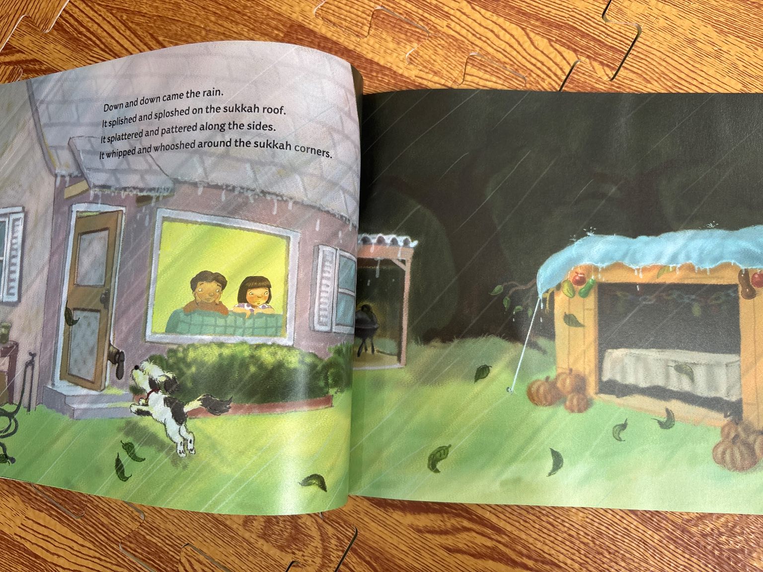 The Very Crowded Sukkah — ảnh 4