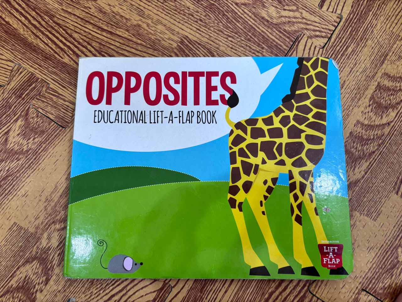 OPPOSITES: EDUCATIONAL LIFT-A-FLAP BOOK — ảnh 1