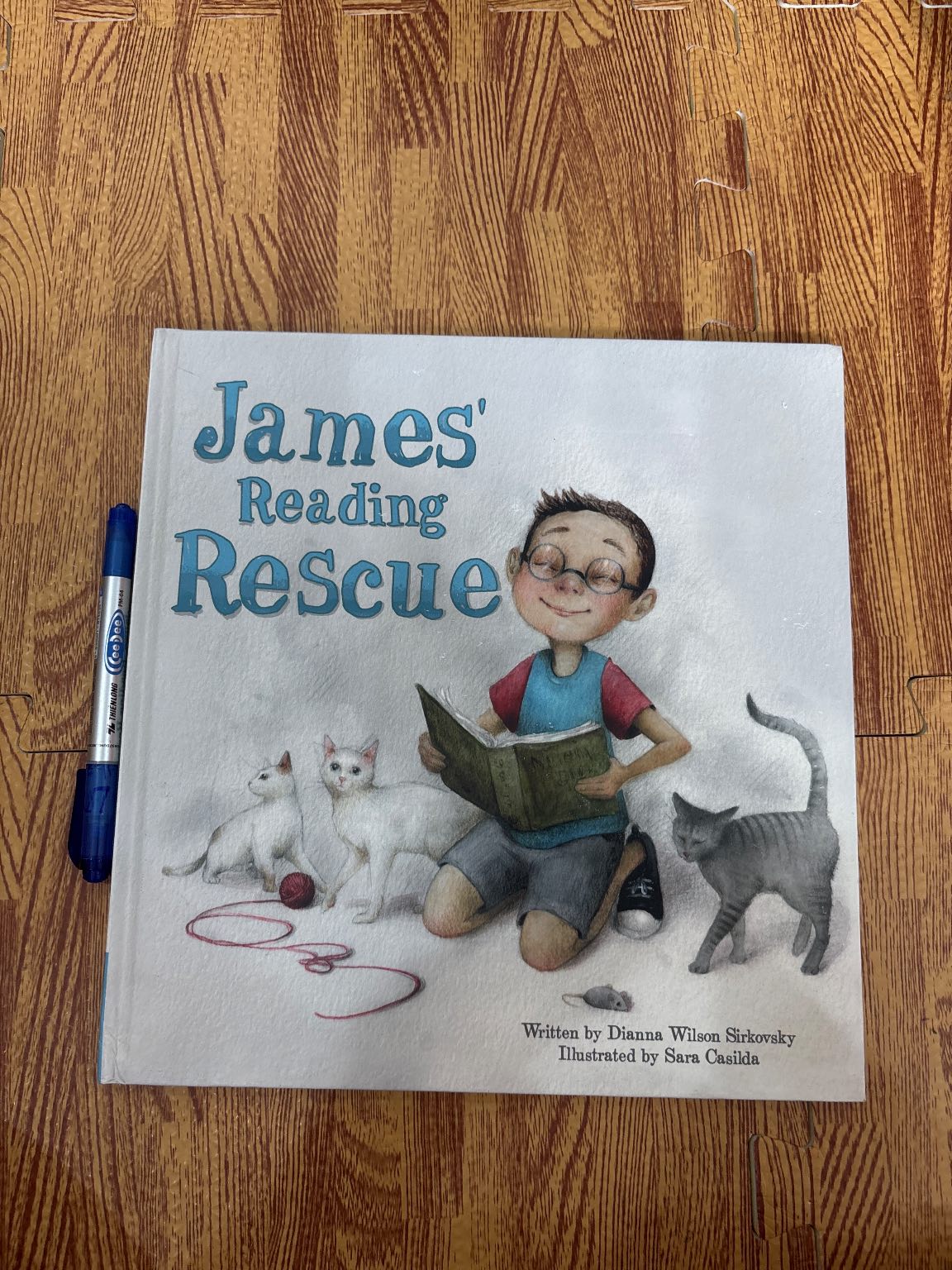 James' Reading Rescue