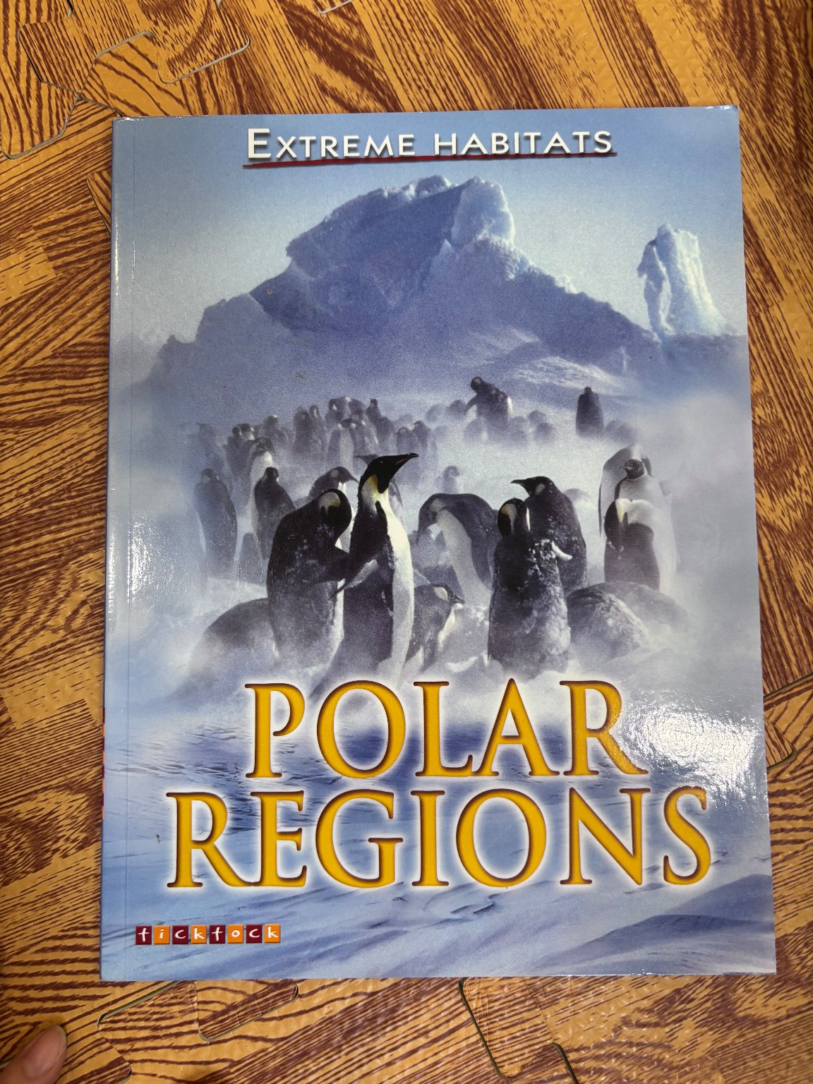 Polar Regions — ảnh 1