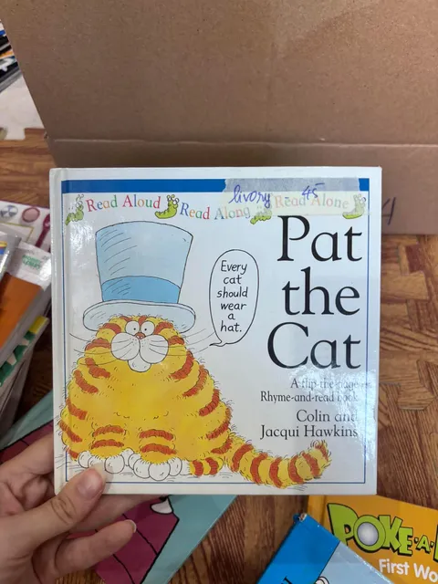 Pat the Cat