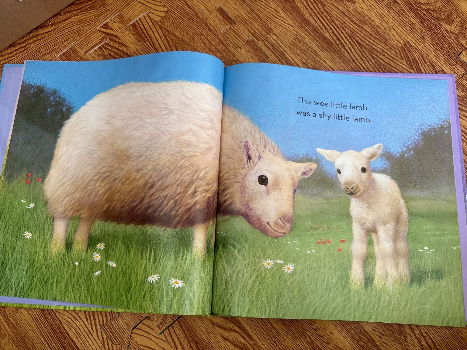 WEE LITTLE LAMB — ảnh 2