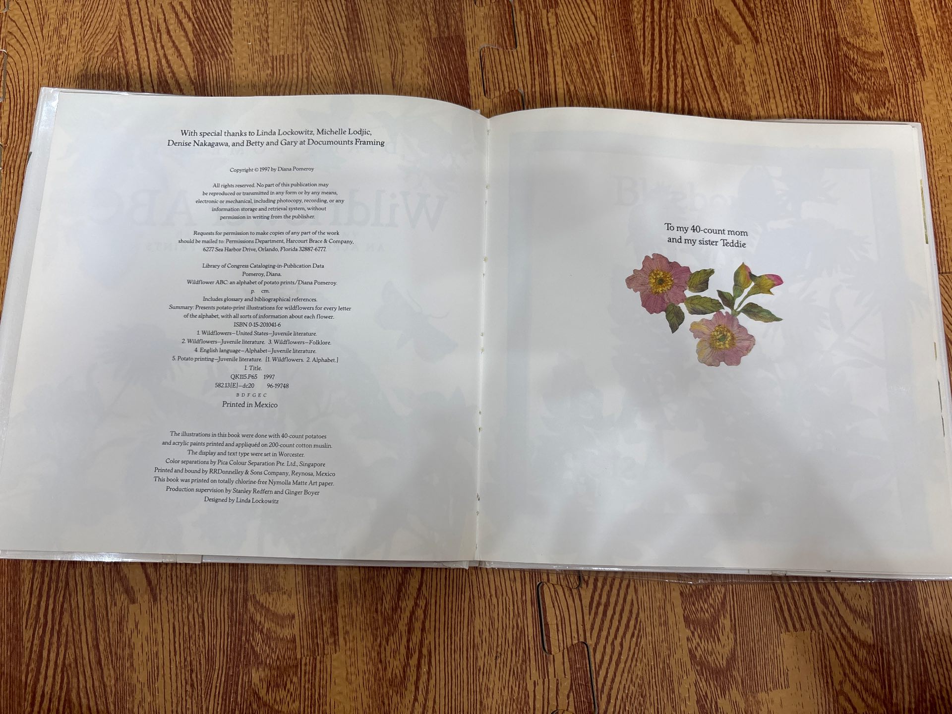 Wildflower ABC — ảnh 2