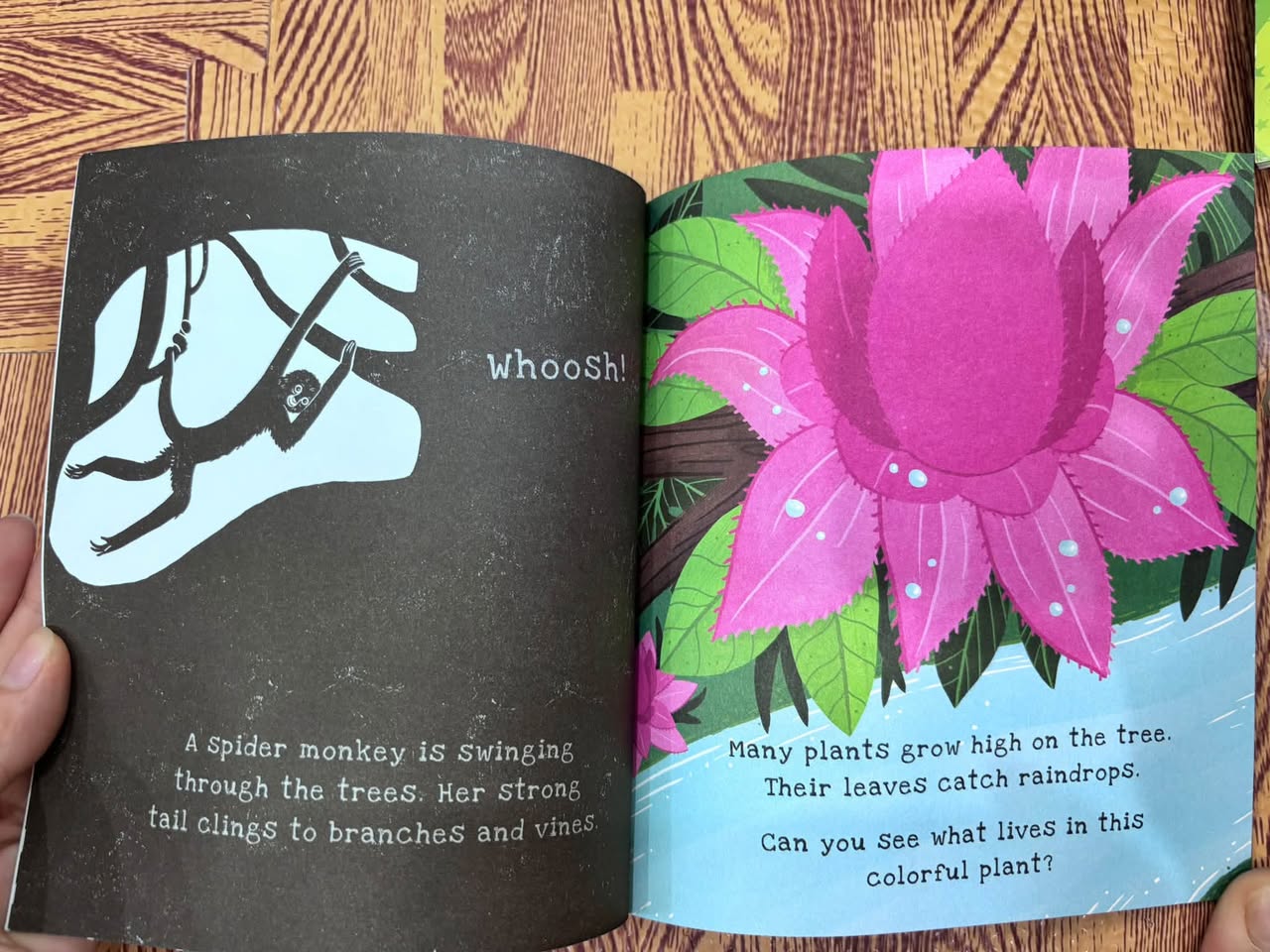 SECRETS OF THE RAINFOREST (A SHINE-A-LIGHT BOOK) — ảnh 3