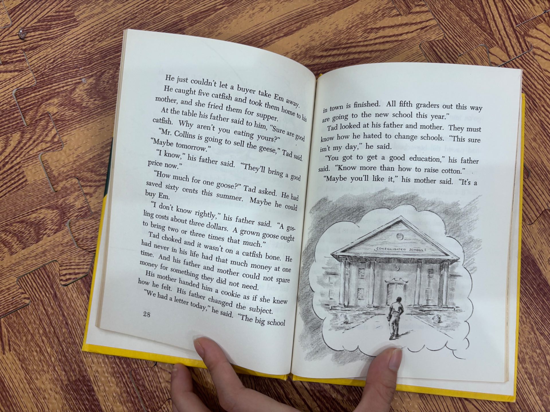 The Goose That Was A Watchdog — ảnh 4