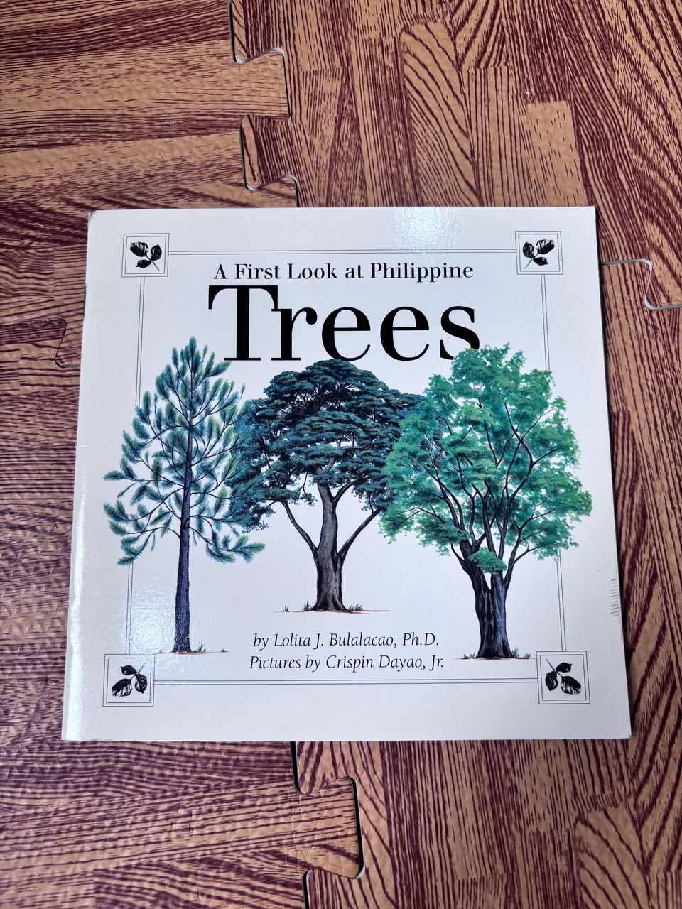 A First Look at Philippine Tree (khổ trung)