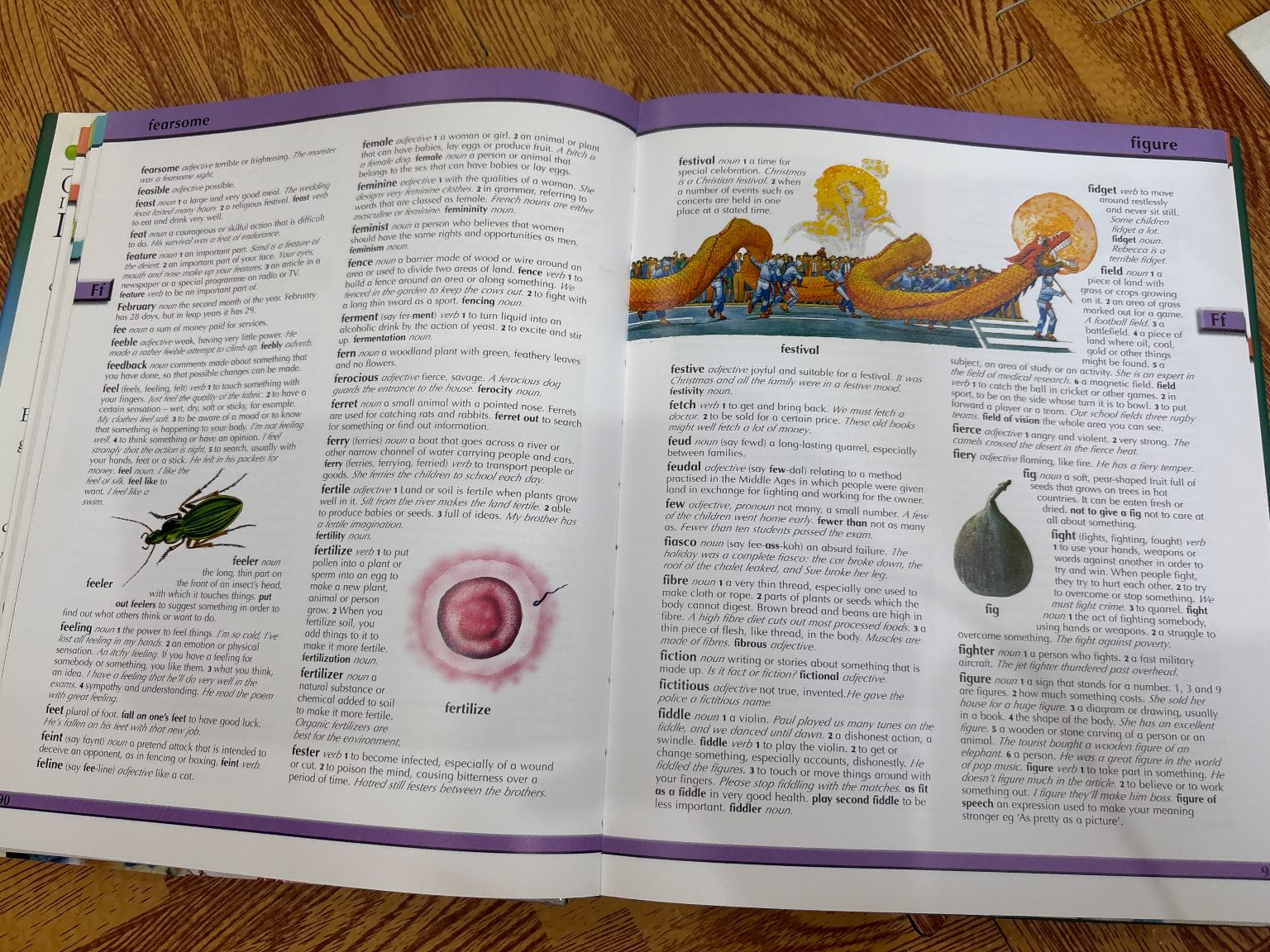 CHILDREN'S ILLUSTRATED DICTIONARY — ảnh 3