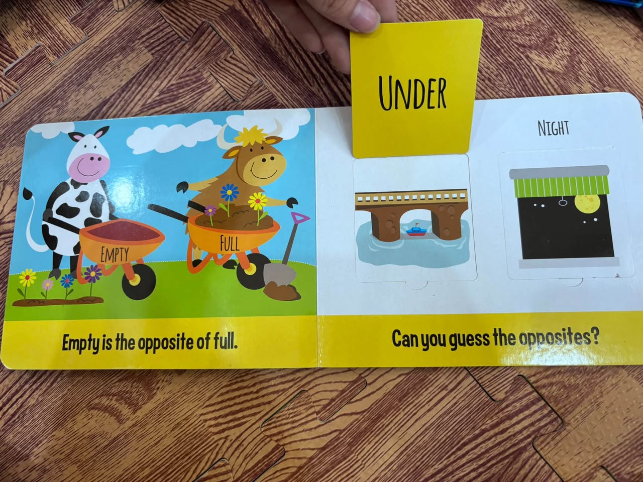 OPPOSITES: EDUCATIONAL LIFT-A-FLAP BOOK — ảnh 4