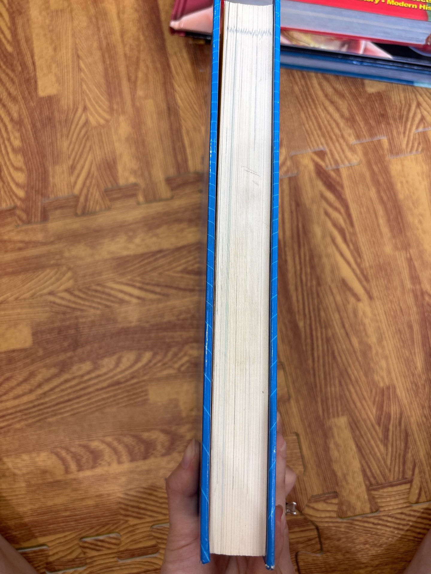 The Kingfisher Children's Factfinder — ảnh 8