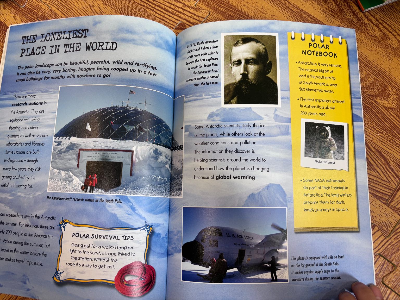 Polar Regions — ảnh 6