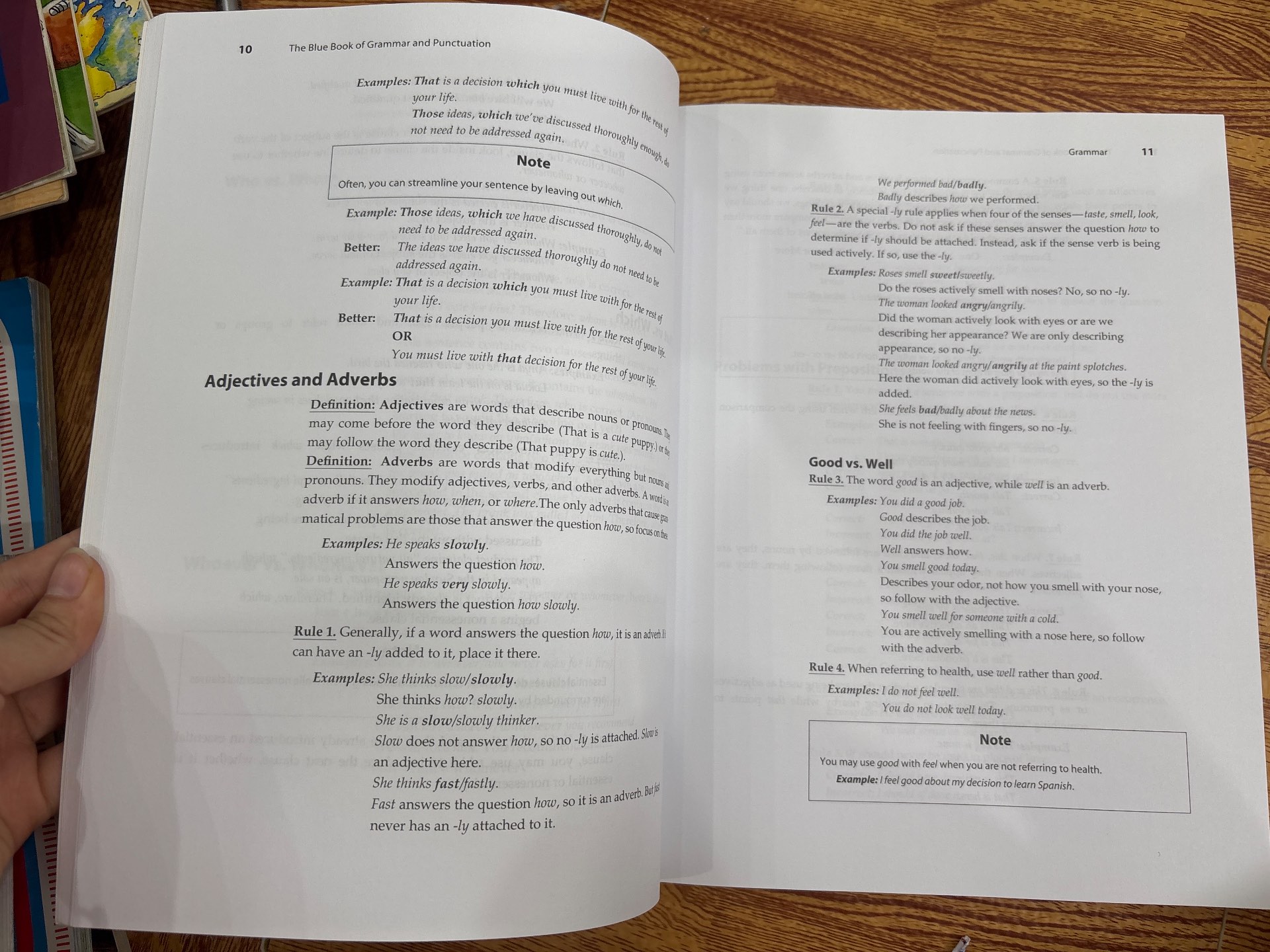 The Blue Book of Grammar and Punctuation — ảnh 3