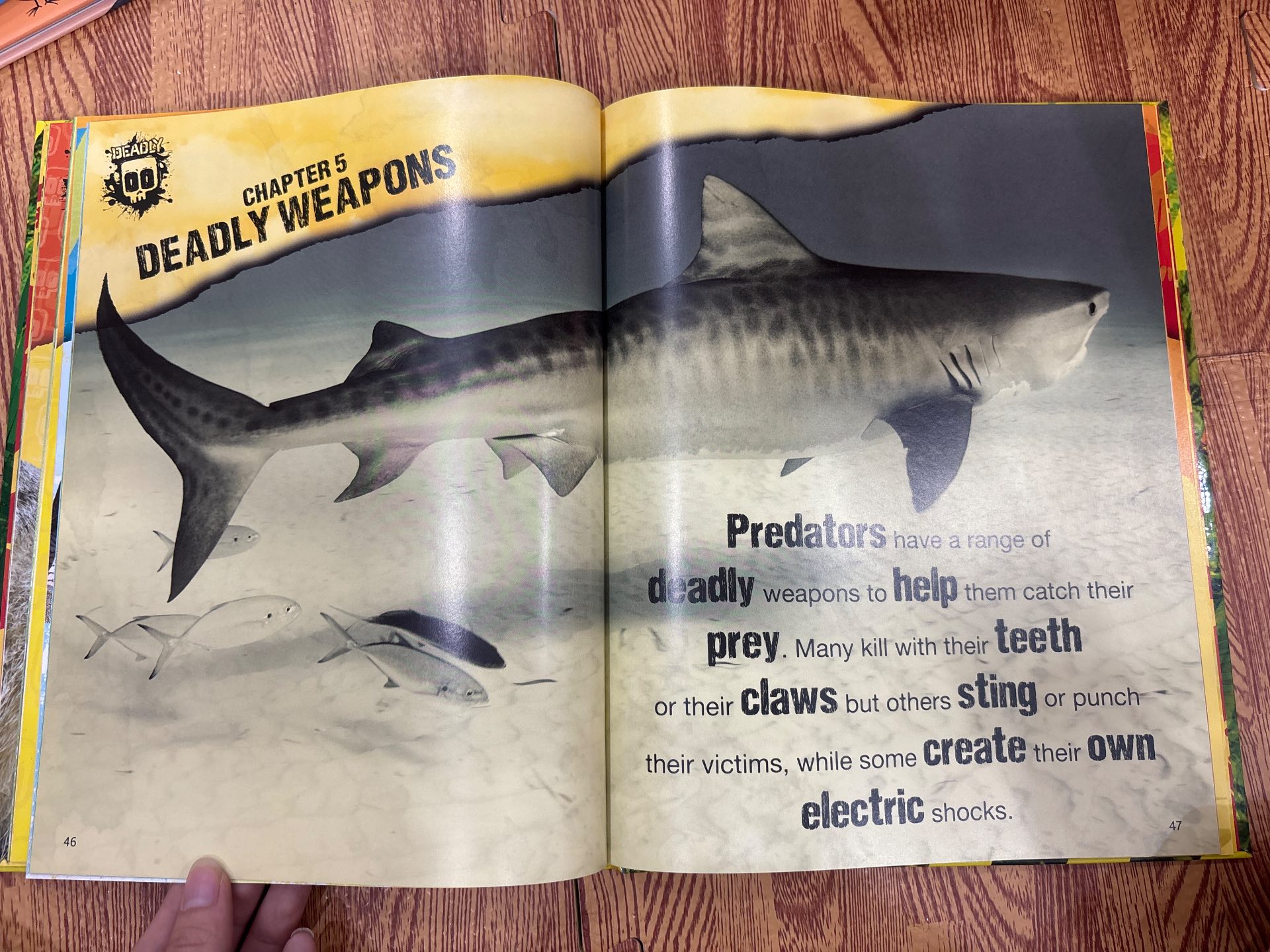 Deadly 2016 Annual — ảnh 4