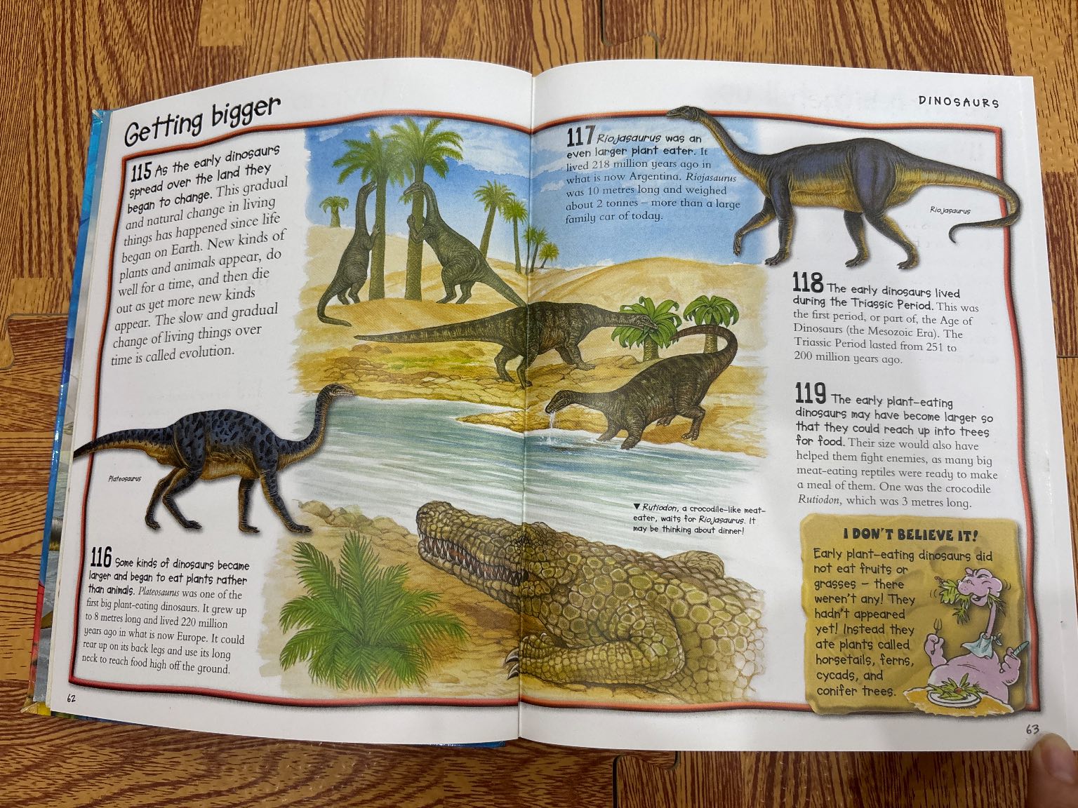 Fantastic Animal Facts — ảnh 3