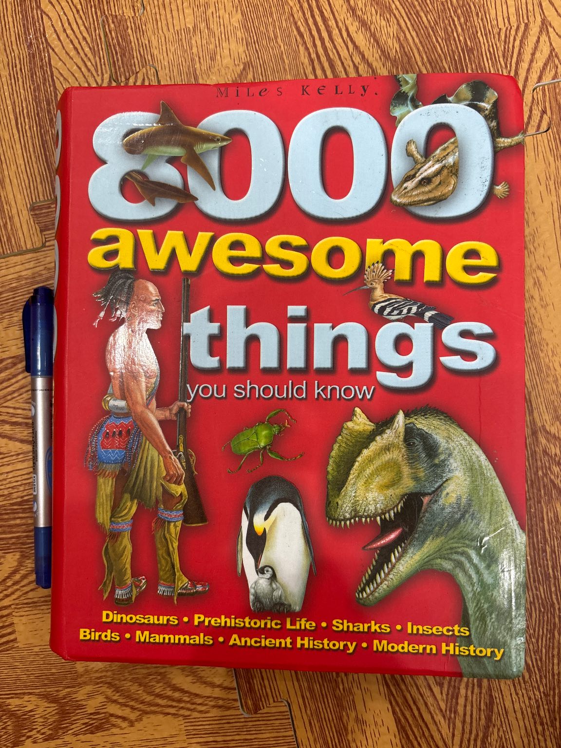 8000 Awesome Things You Should Know — ảnh 1
