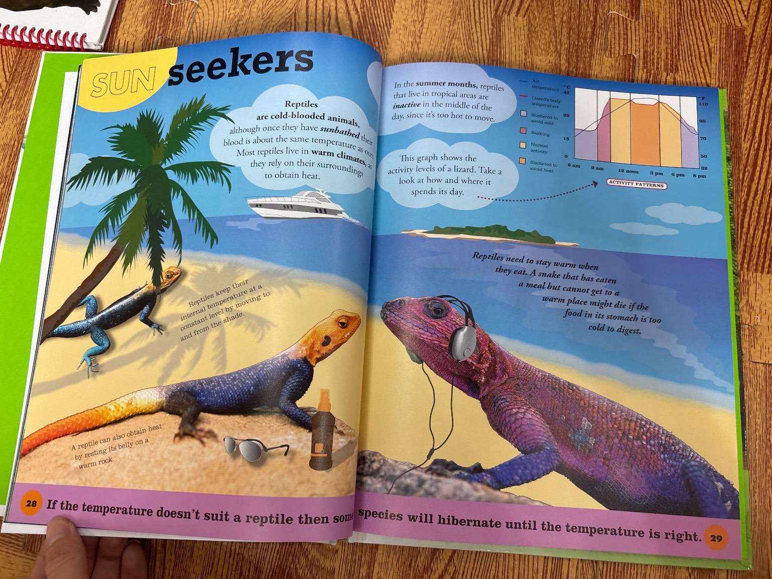 Everything you need to know about FROGS AND OTHER SLIPPERY CREATURES — ảnh 2