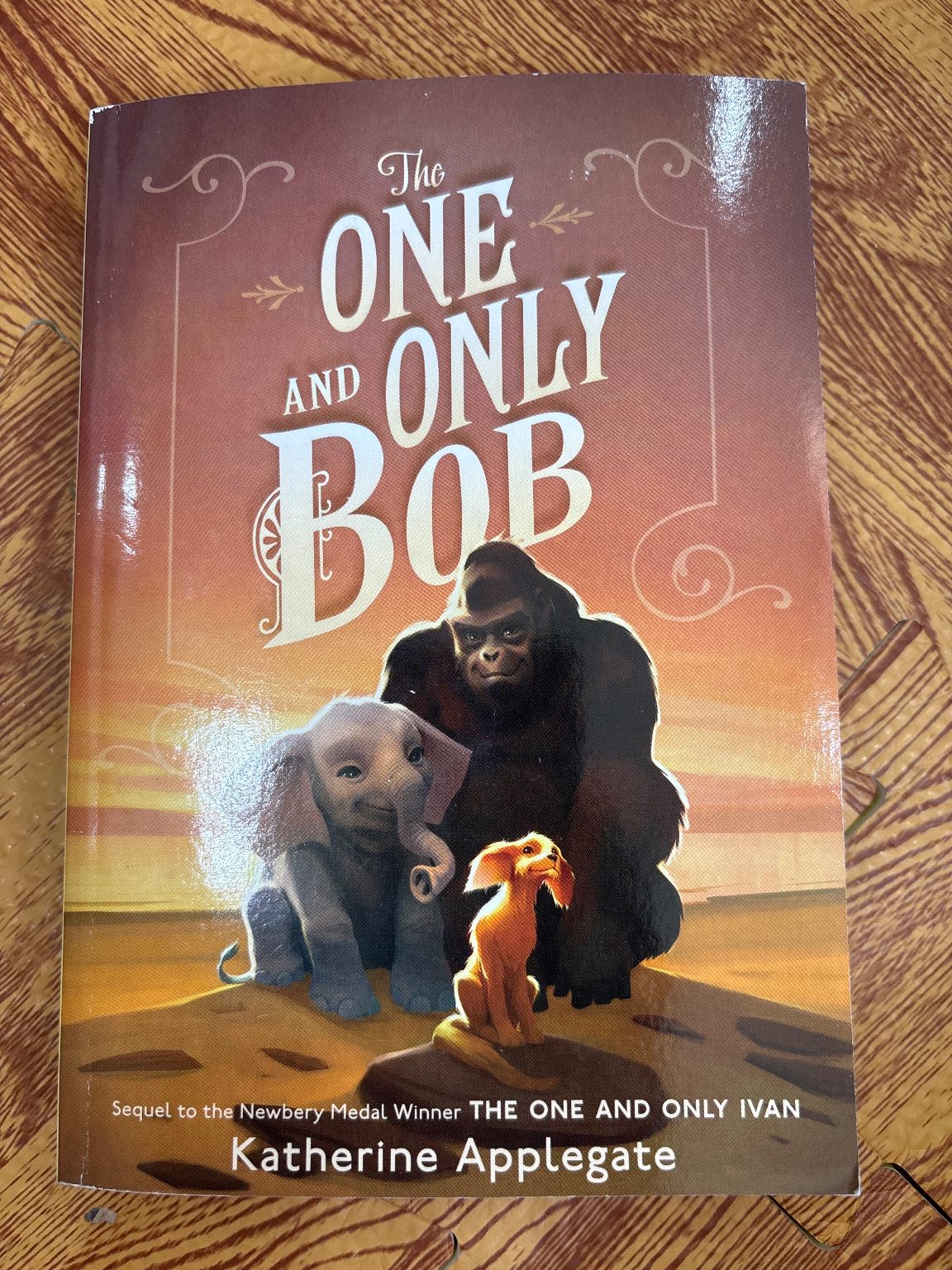 The One and Only Bob — ảnh 1