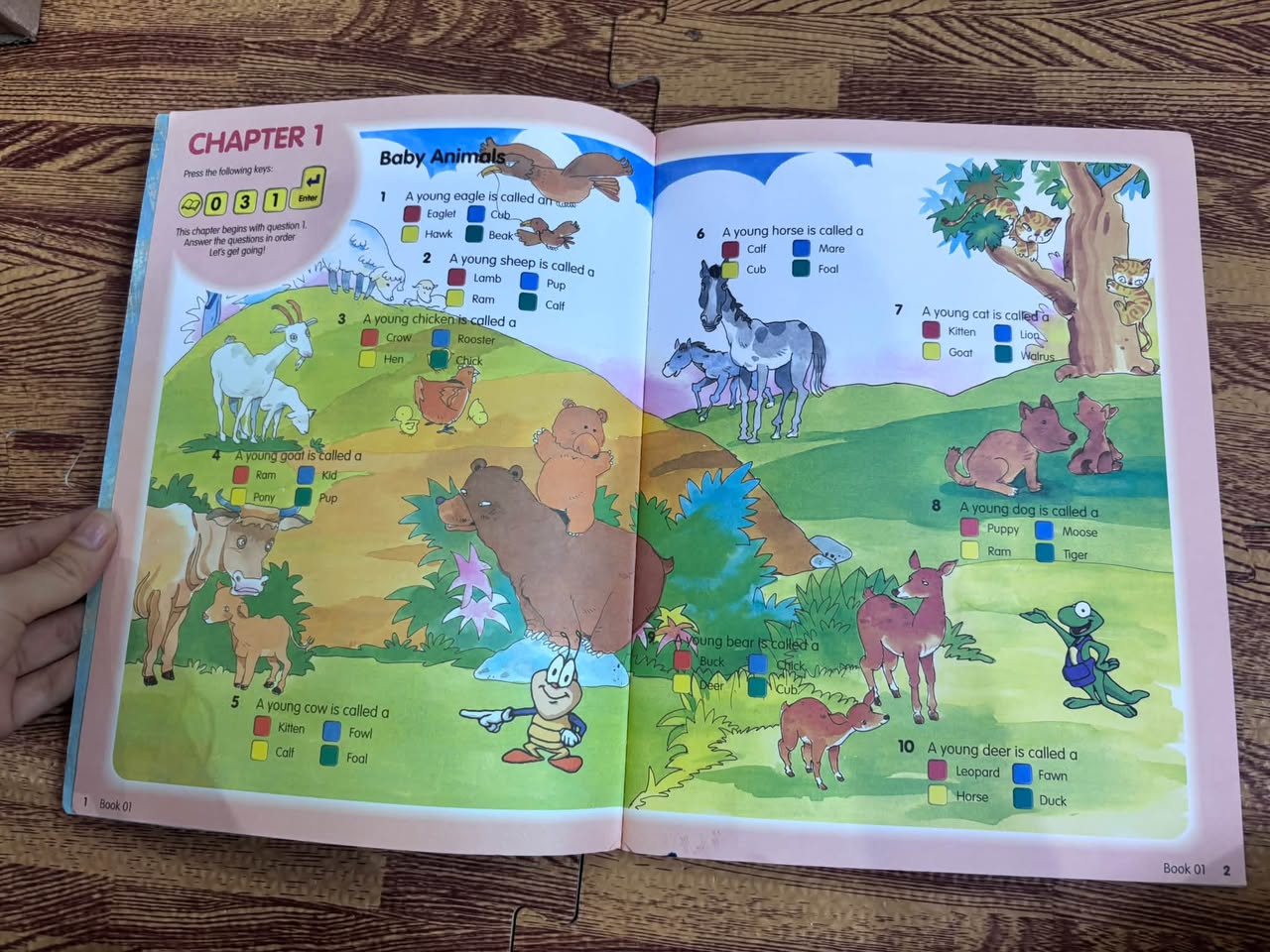 Shades and JB On Safari – Work Book 01 — ảnh 5