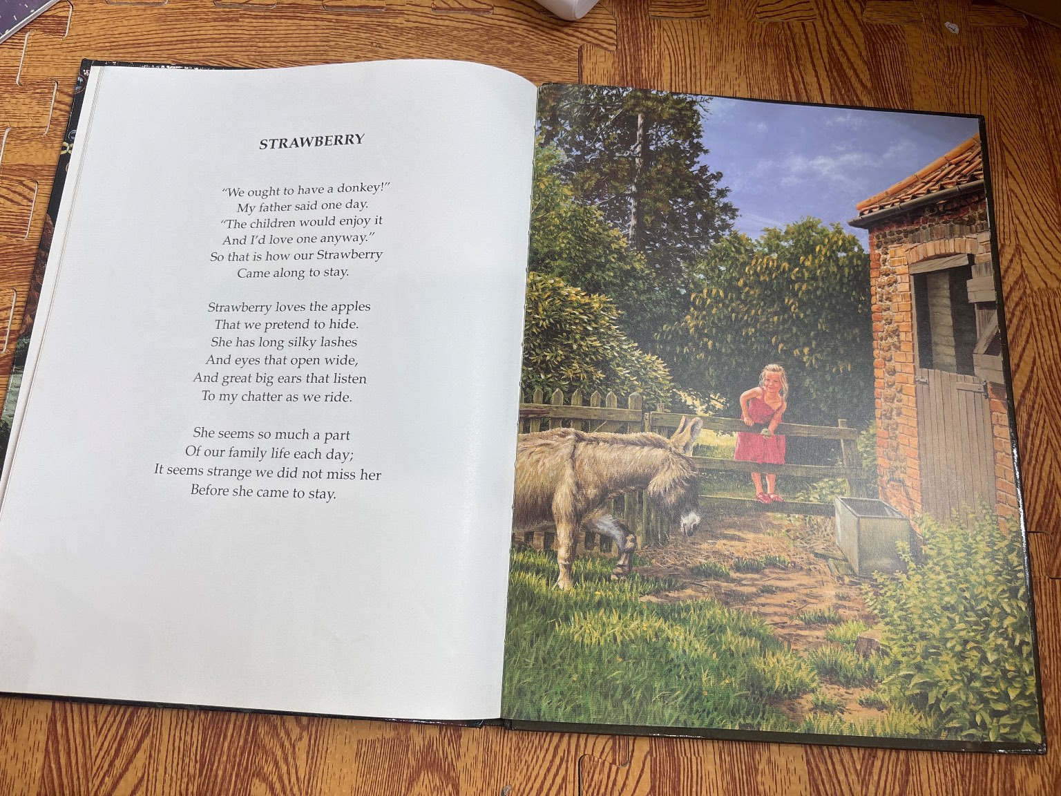 Anna Growing Up on the Farm — ảnh 4
