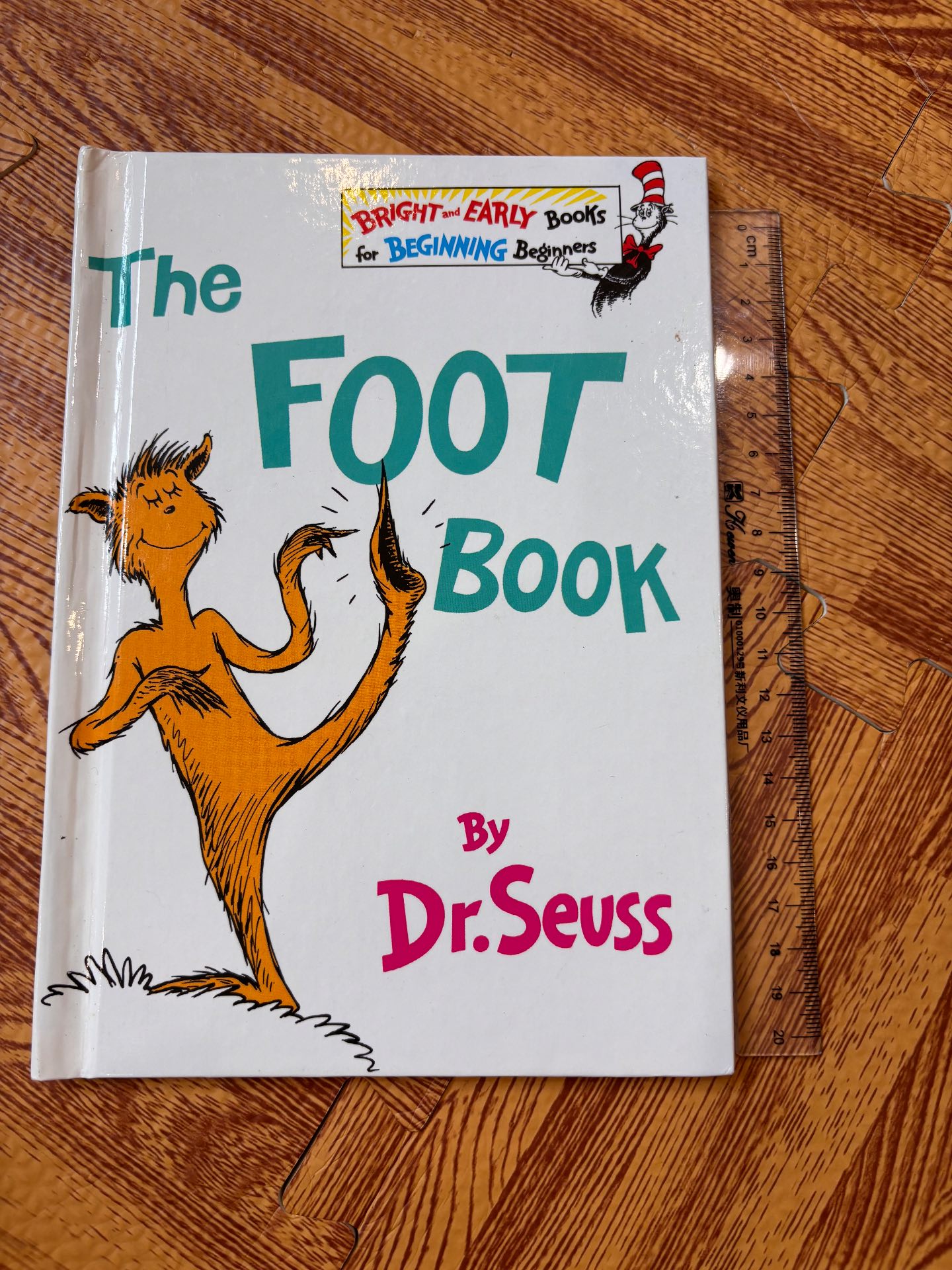 The FOOT Book — ảnh 1