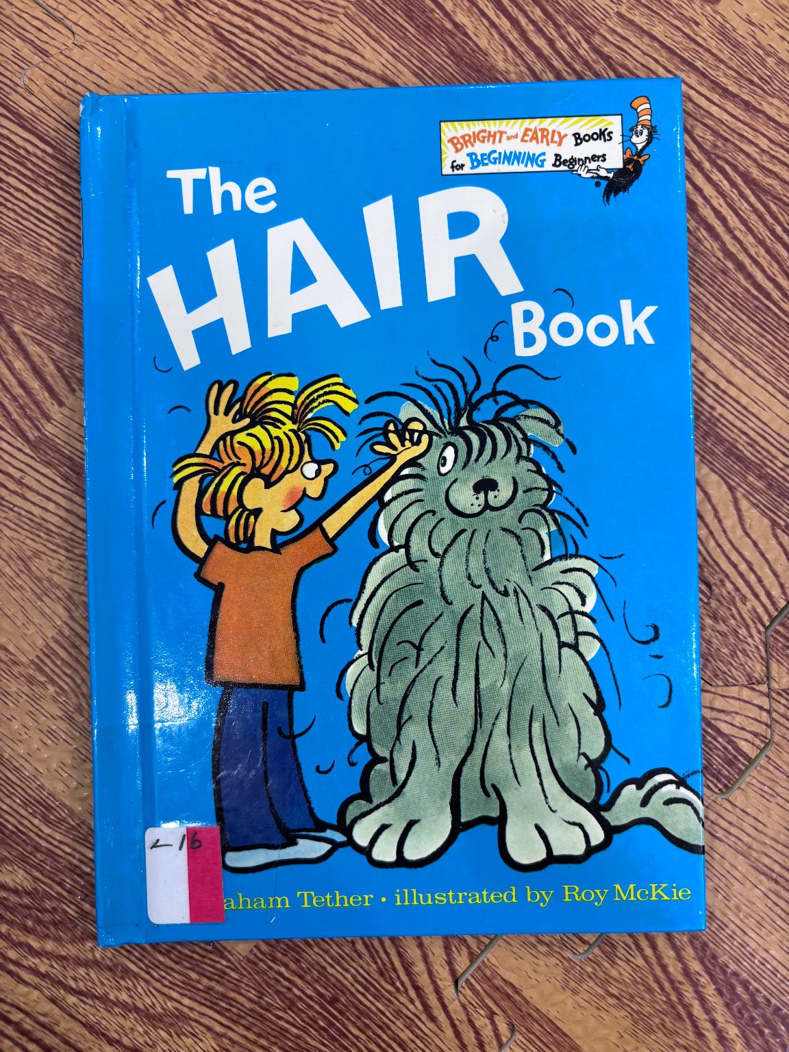 The HAIR Book — ảnh 1