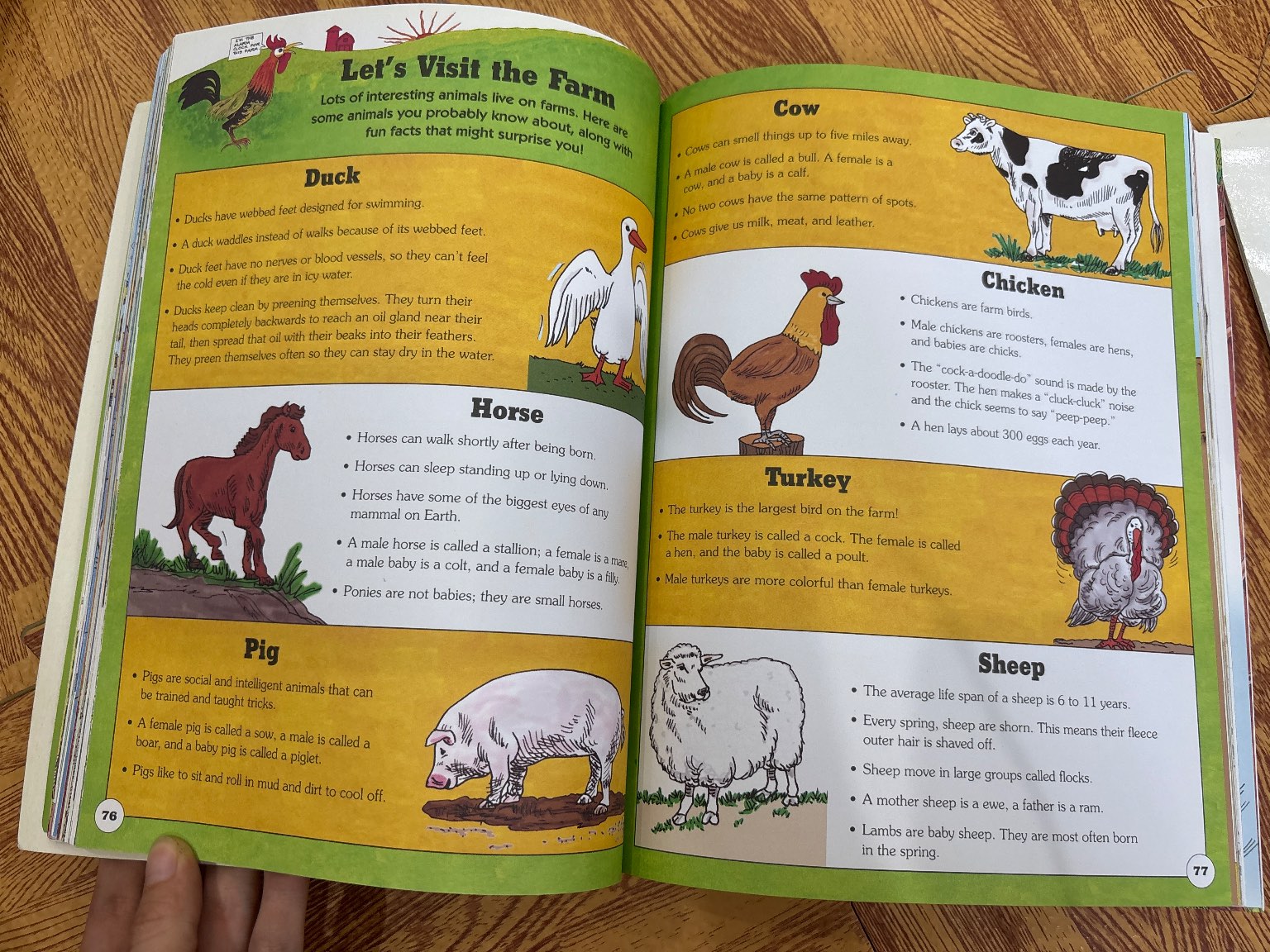 Biggest Book of Science — ảnh 2
