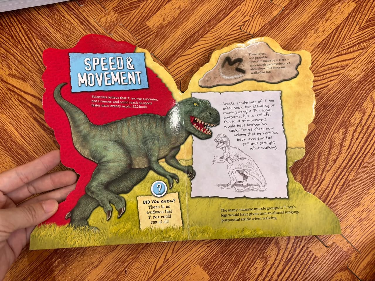 ROAR! TYRANNOSAURUS REX (SHAPED BOARD BOOK) — ảnh 2