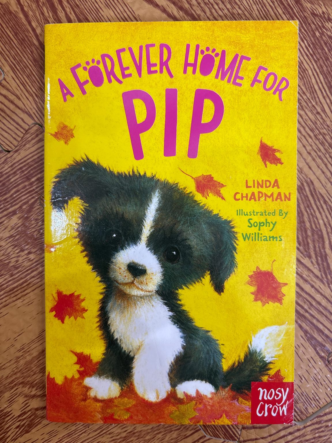 A Forever Home for Pip