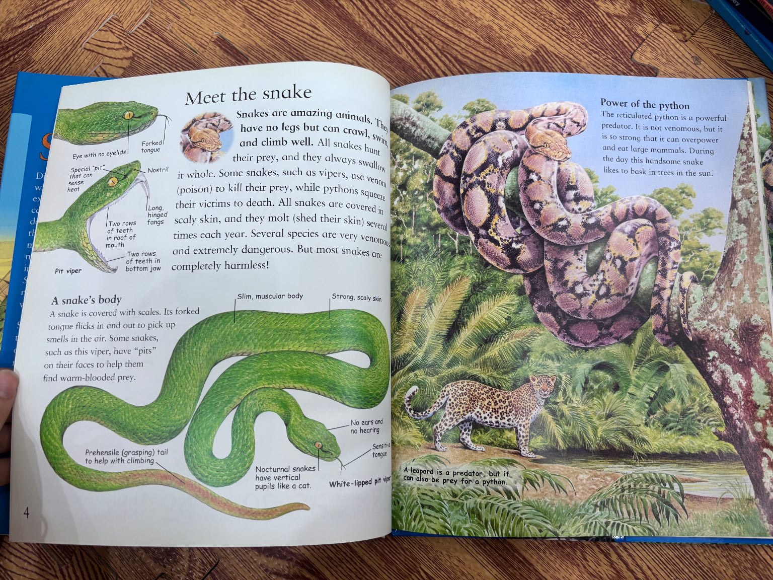 The Best Book of Snakes — ảnh 2