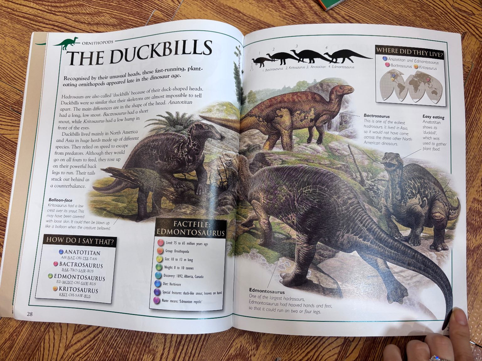 Discovering Dinosaurs: Mighty Giants — ảnh 6