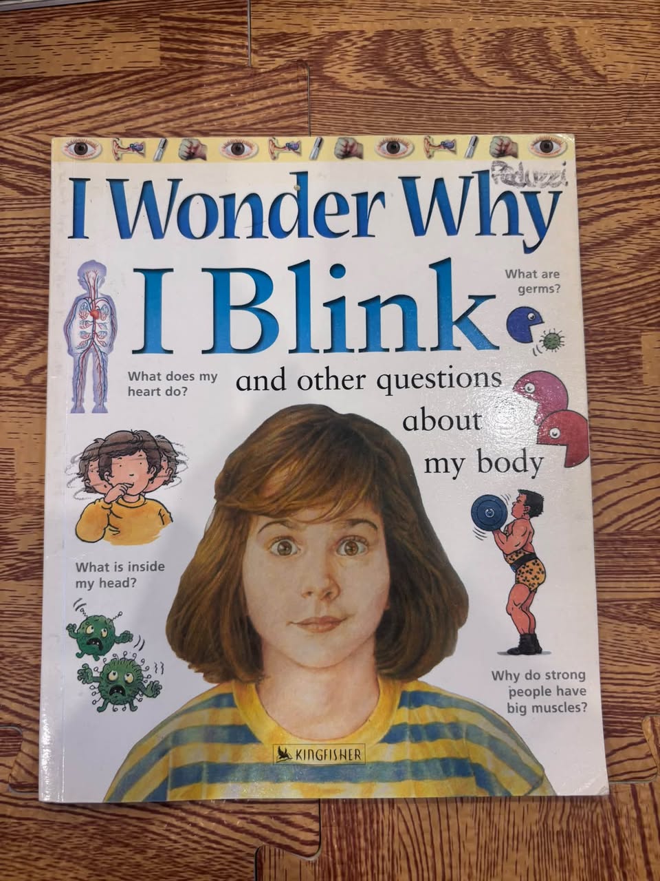I Wonder Why I Blink and Other Questions About My Body – Kingfisher — ảnh 1