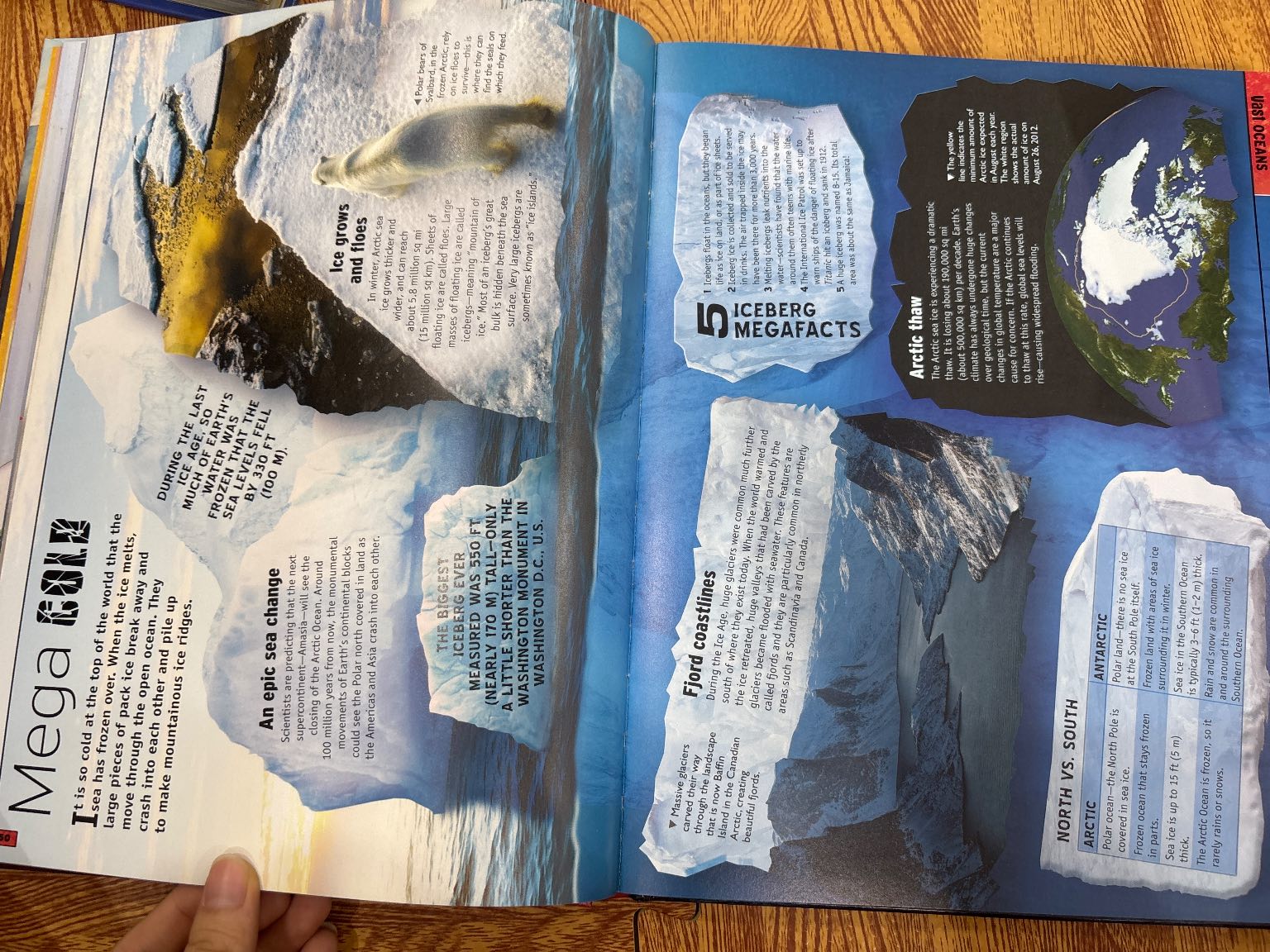 The Earth Book — ảnh 4