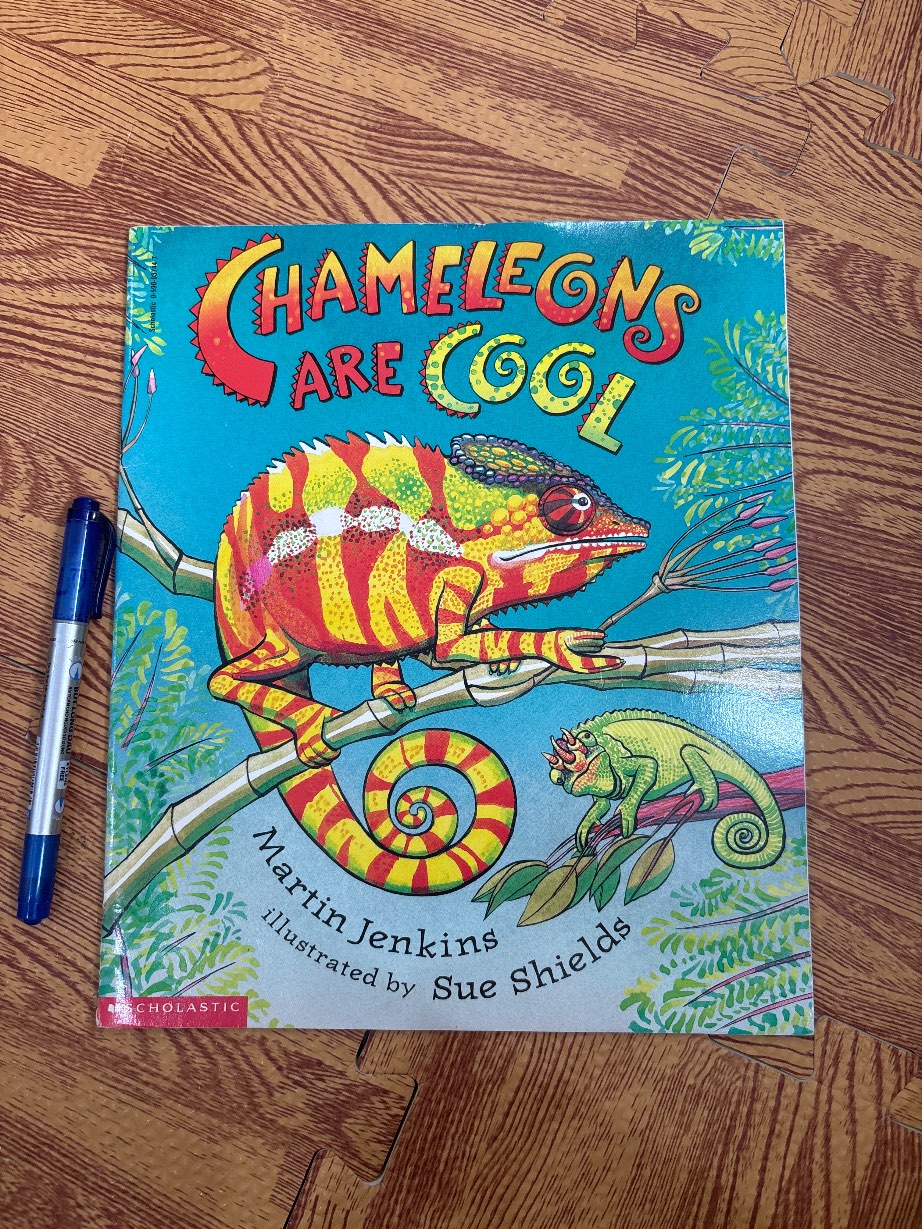 Chameleons Are Cool